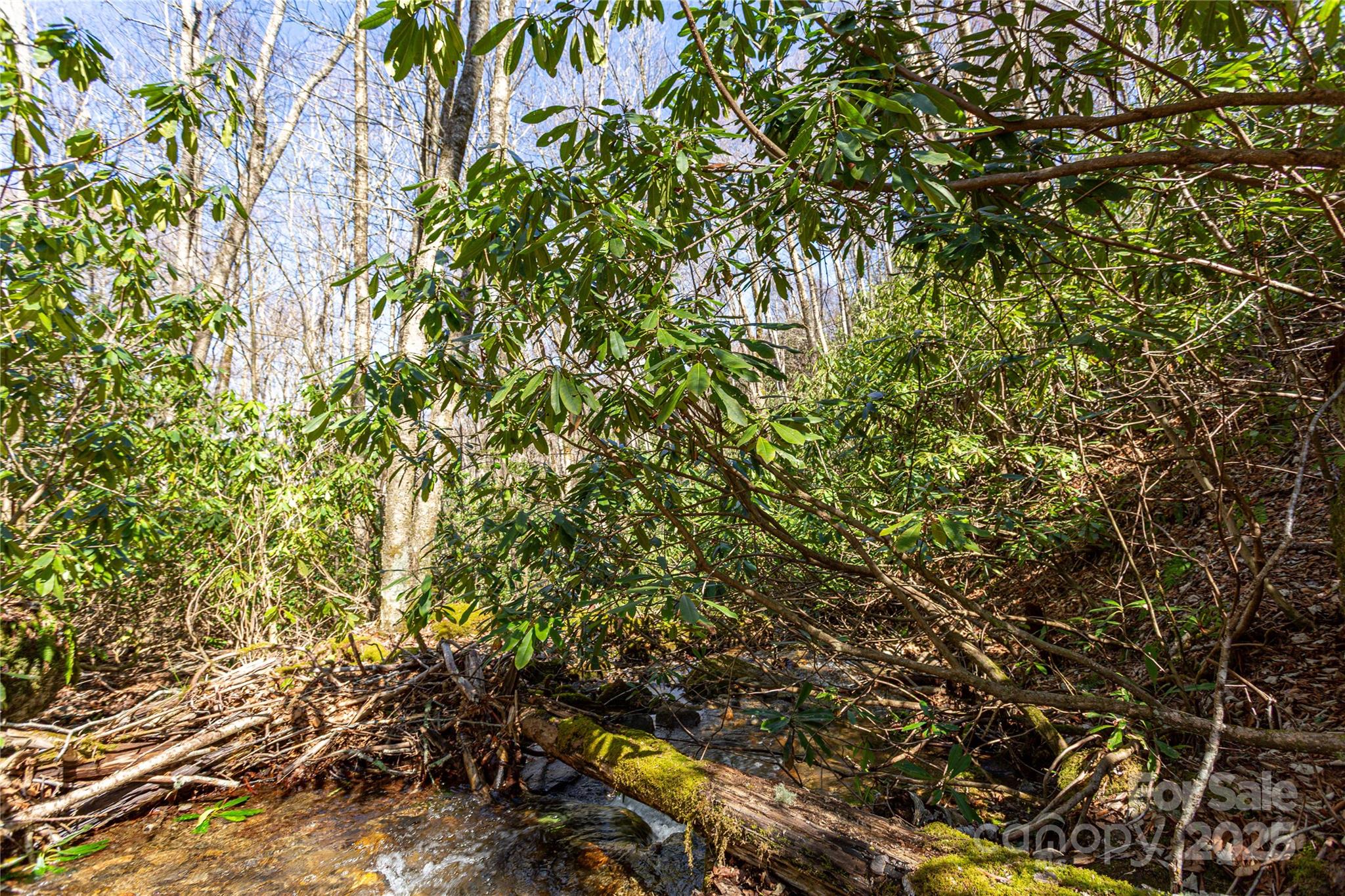 Lot 50 Bearwallow Ridge Trail 50 Property Photo 23