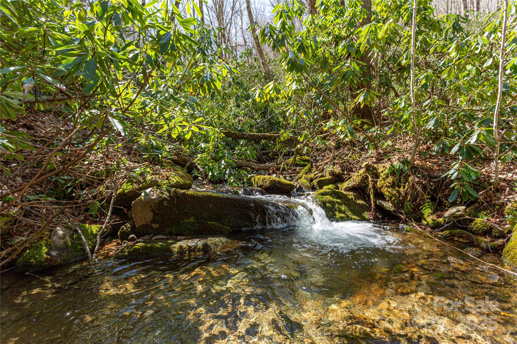 Lot 50 Bearwallow Ridge Trail 50 Property Photo 24