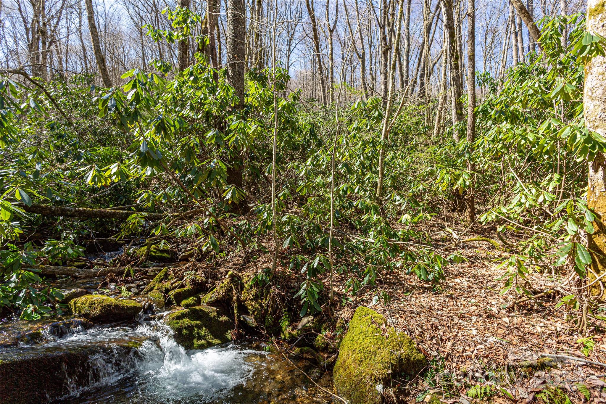 Lot 50 Bearwallow Ridge Trail 50 Property Photo 25