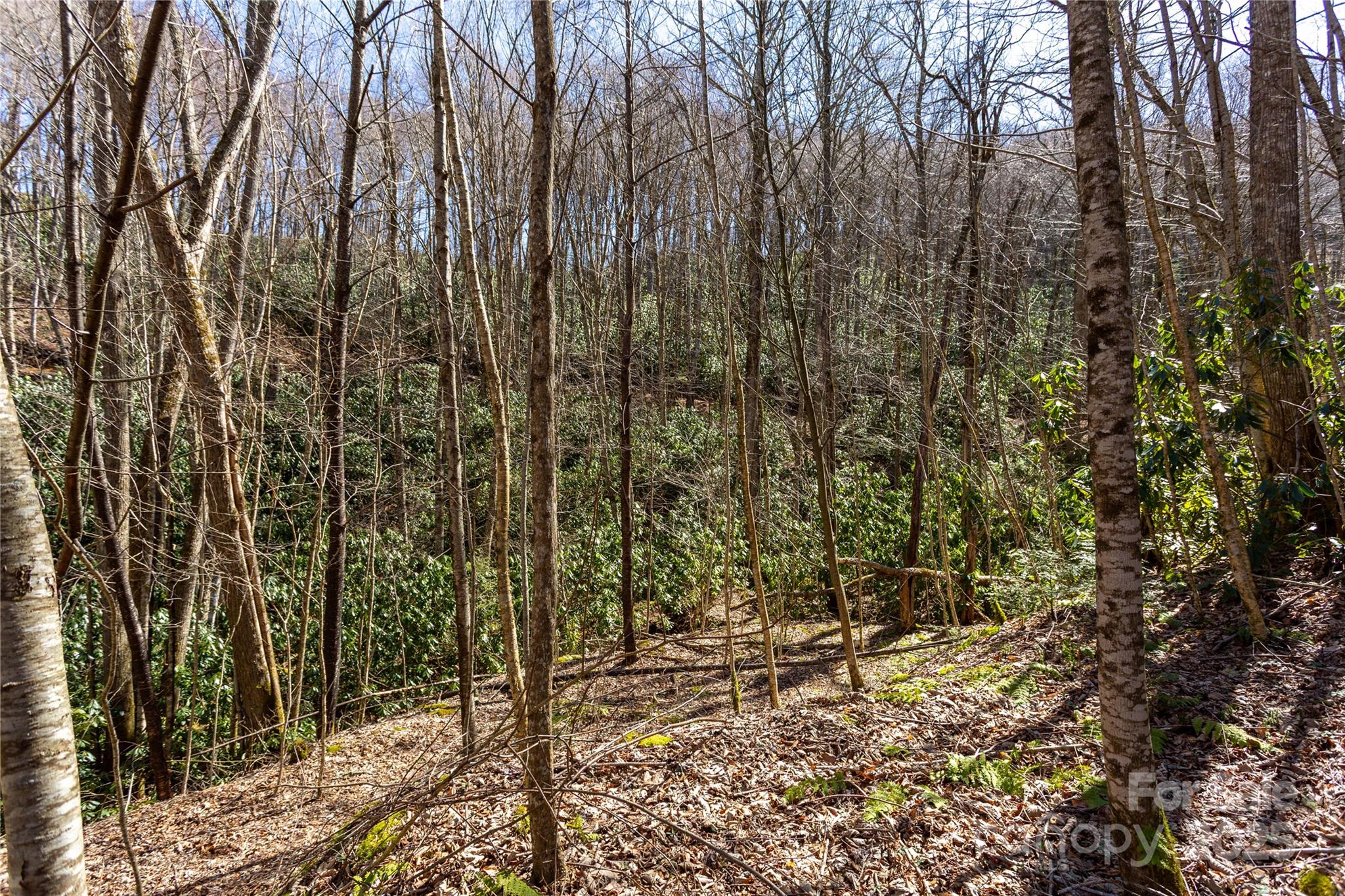 Lot 50 Bearwallow Ridge Trail 50 Property Photo 26