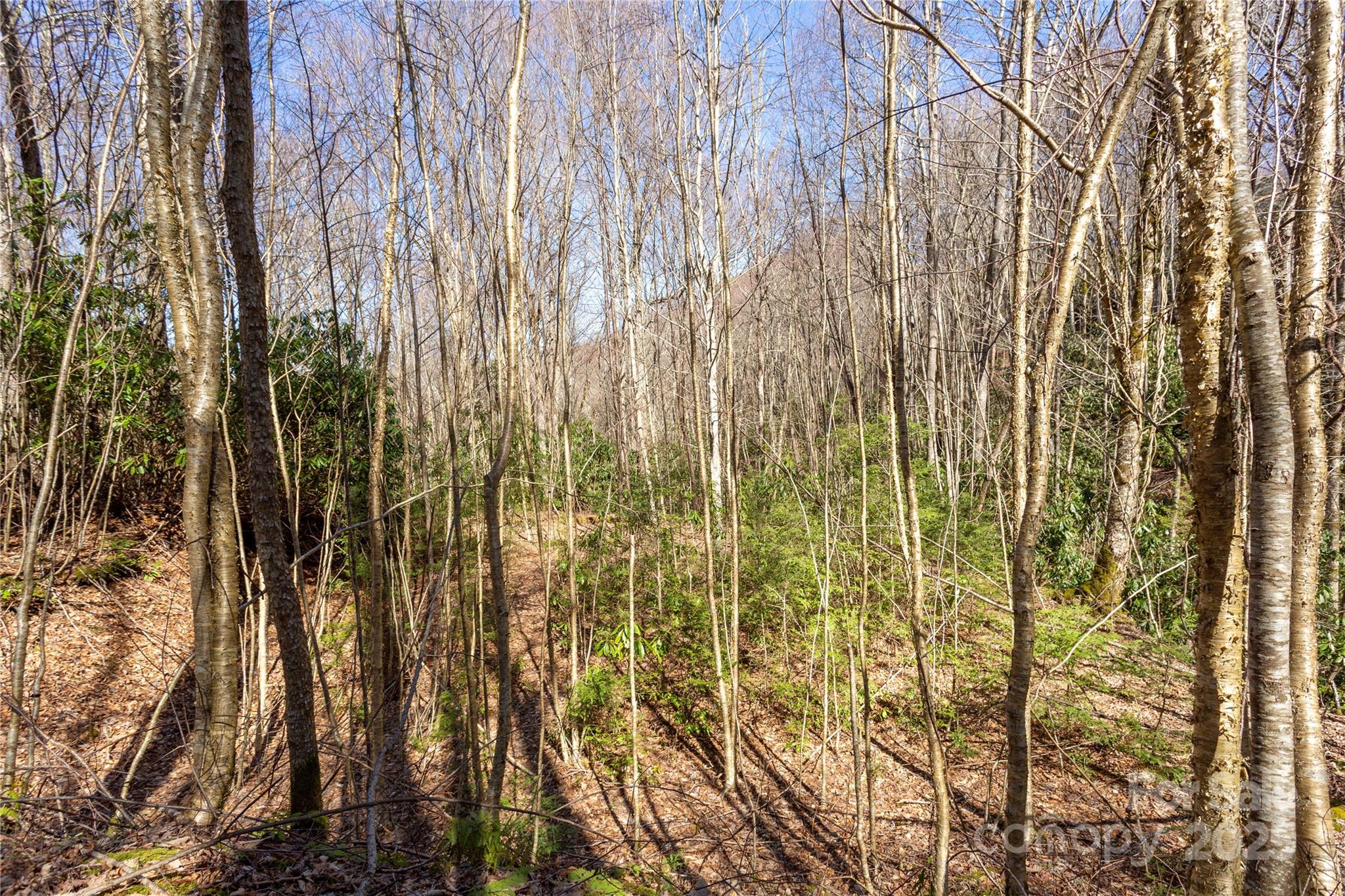 Lot 50 Bearwallow Ridge Trail 50 Property Photo 27