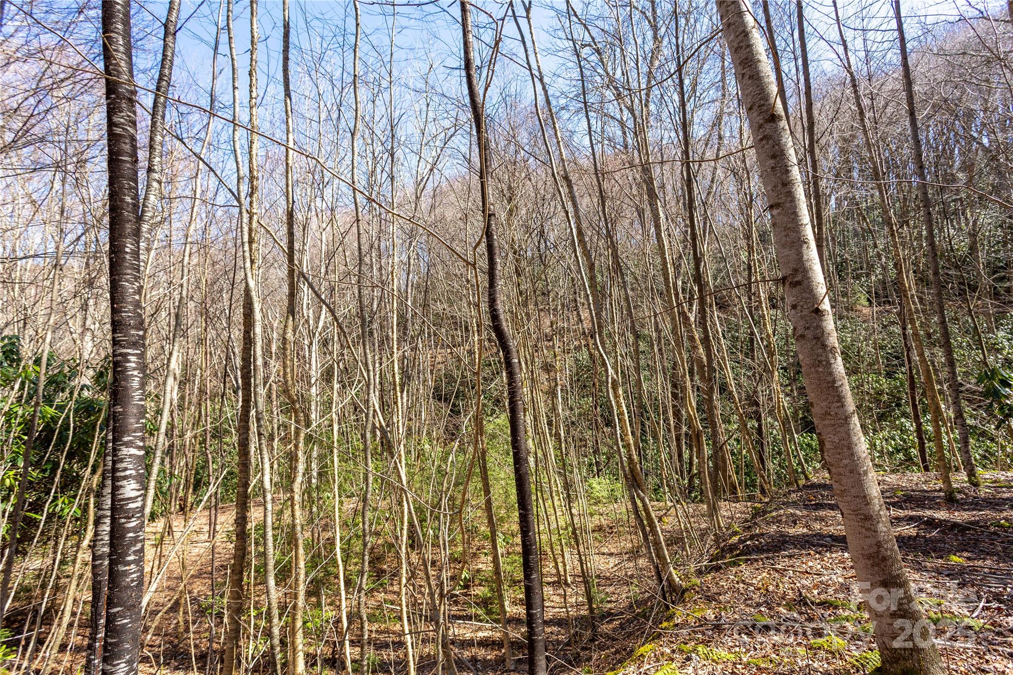 Lot 50 Bearwallow Ridge Trail 50 Property Photo 28