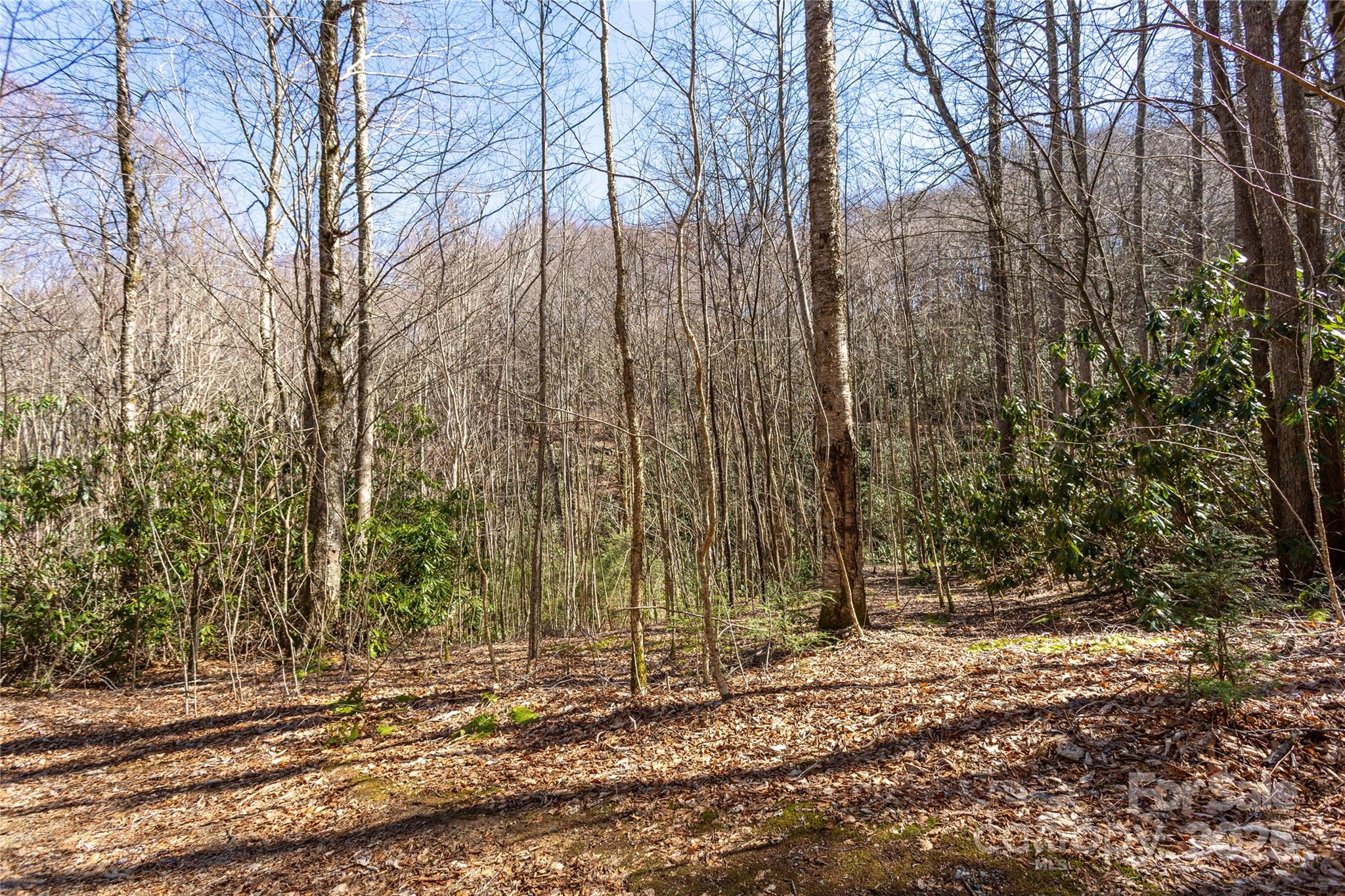 Lot 50 Bearwallow Ridge Trail 50 Property Photo 29