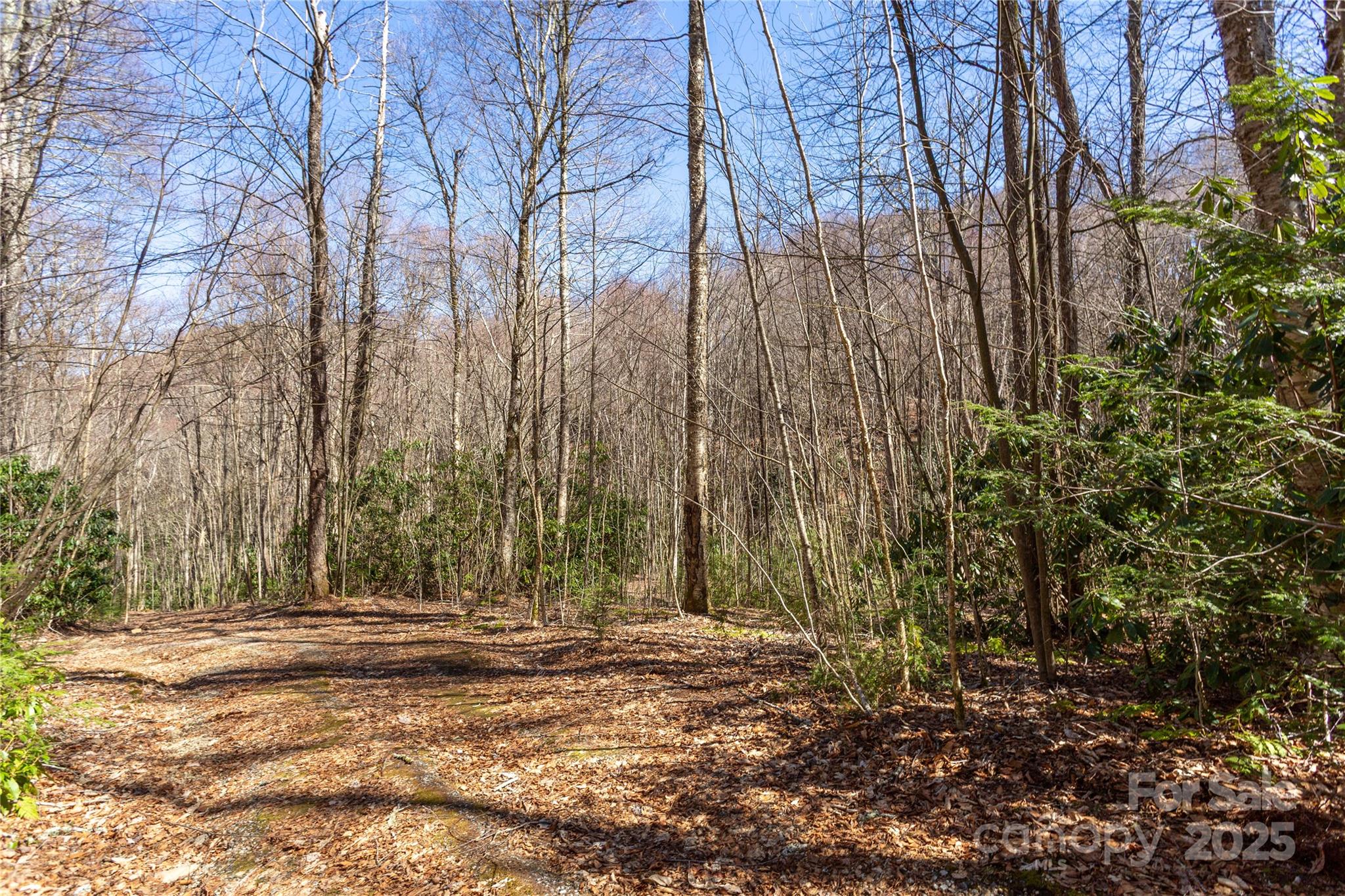 Lot 50 Bearwallow Ridge Trail 50 Property Photo 30