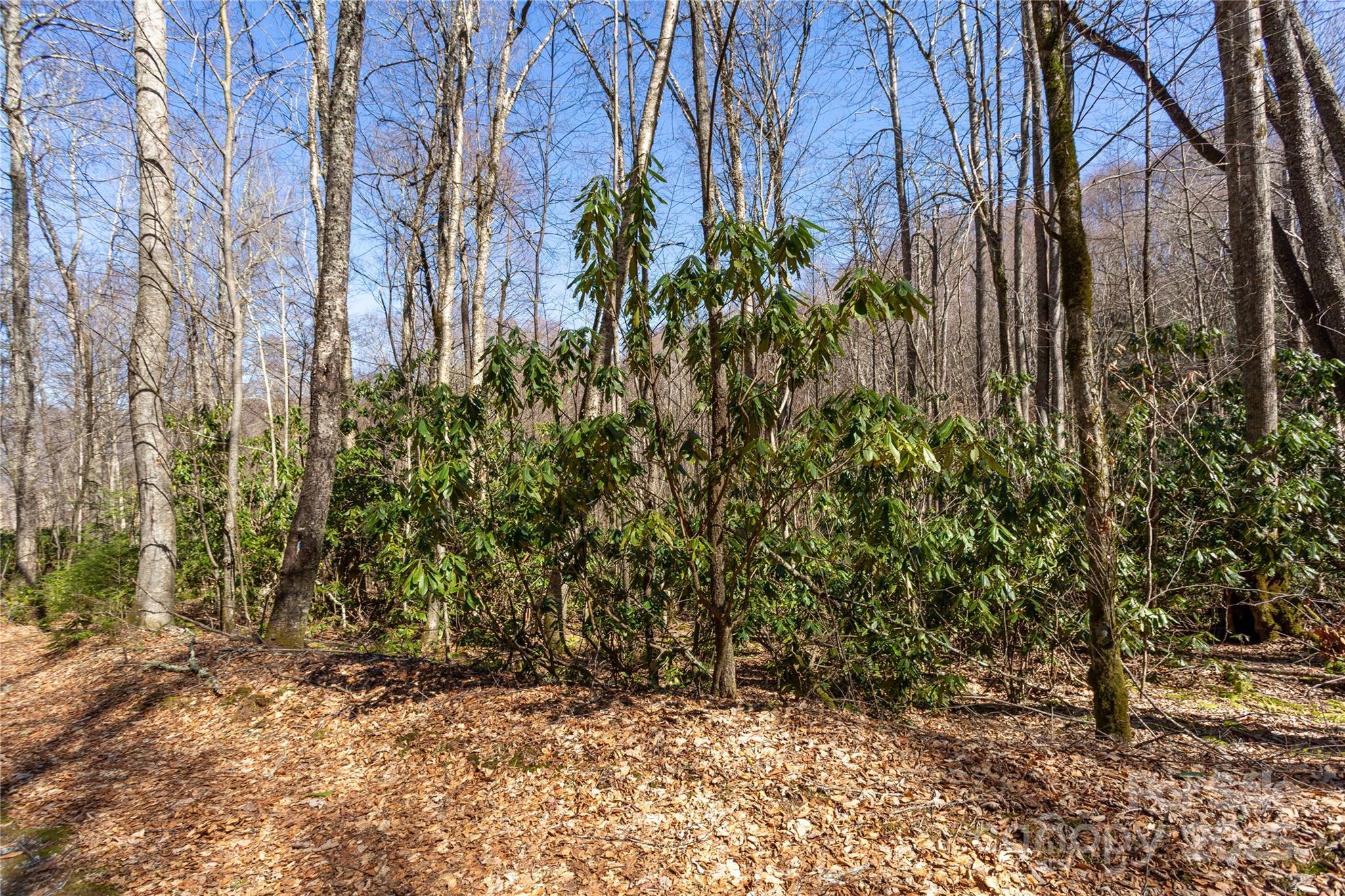 Lot 50 Bearwallow Ridge Trail 50 Property Photo 31