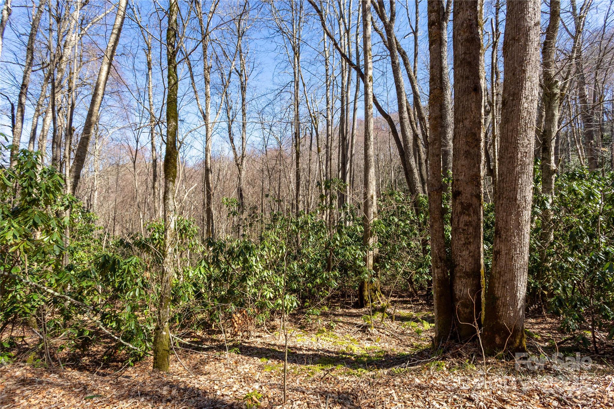 Lot 50 Bearwallow Ridge Trail 50 Property Photo 32