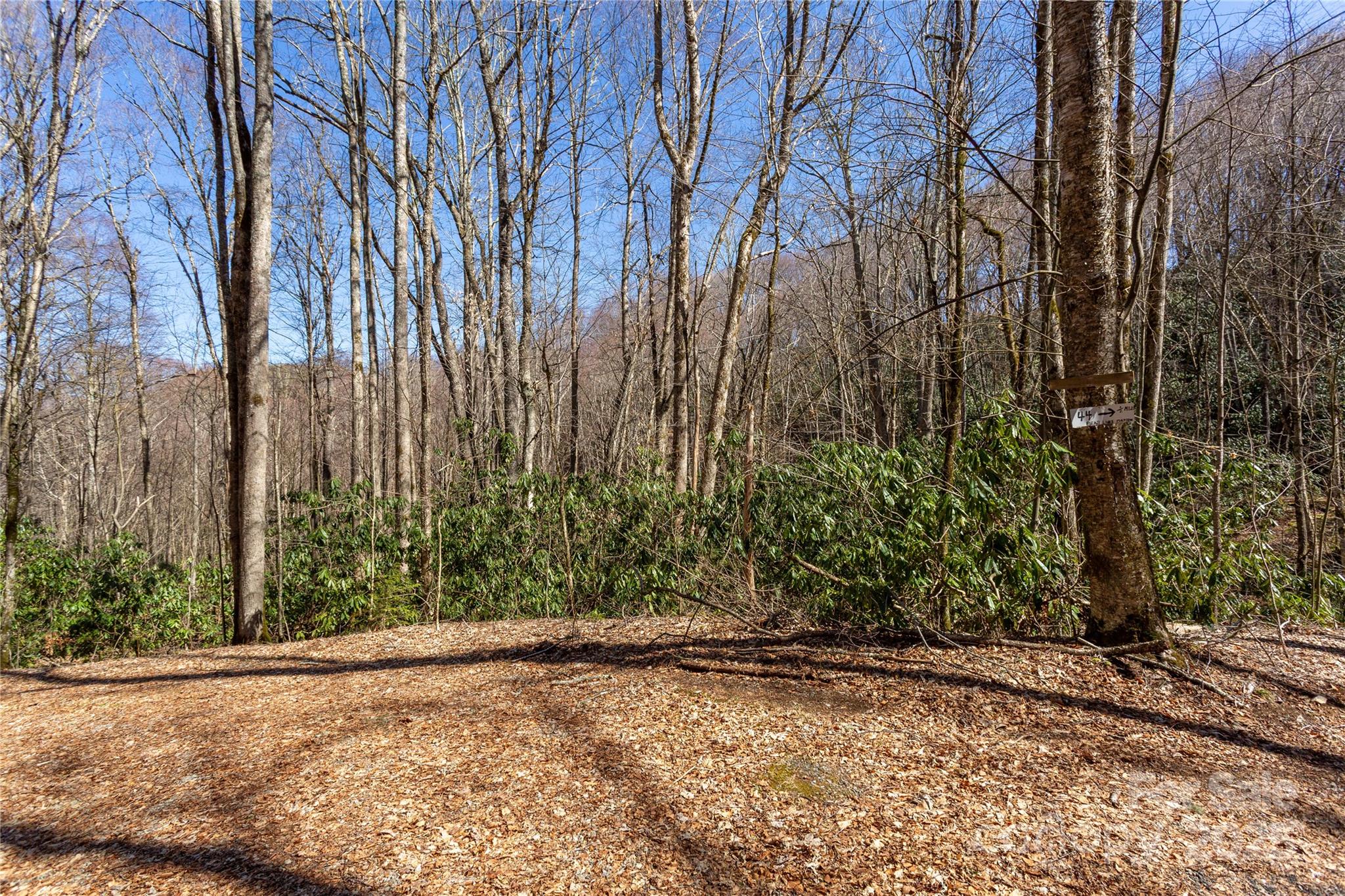 Lot 50 Bearwallow Ridge Trail 50 Property Photo 33