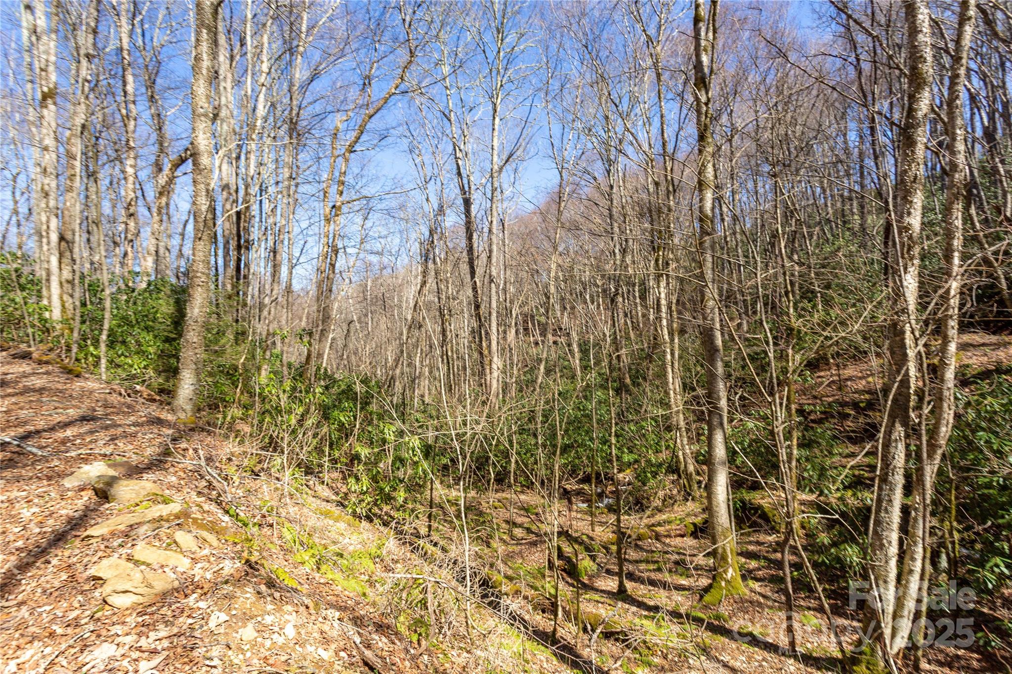 Lot 50 Bearwallow Ridge Trail 50 Property Photo 34