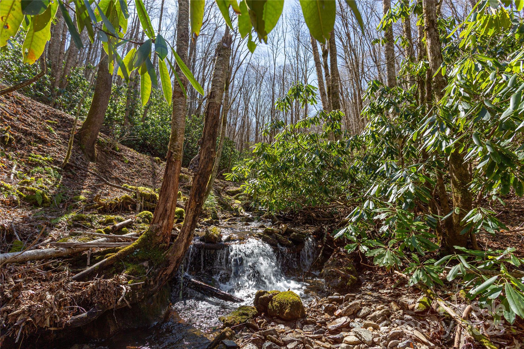 Lot 50 Bearwallow Ridge Trail 50 Property Photo 35
