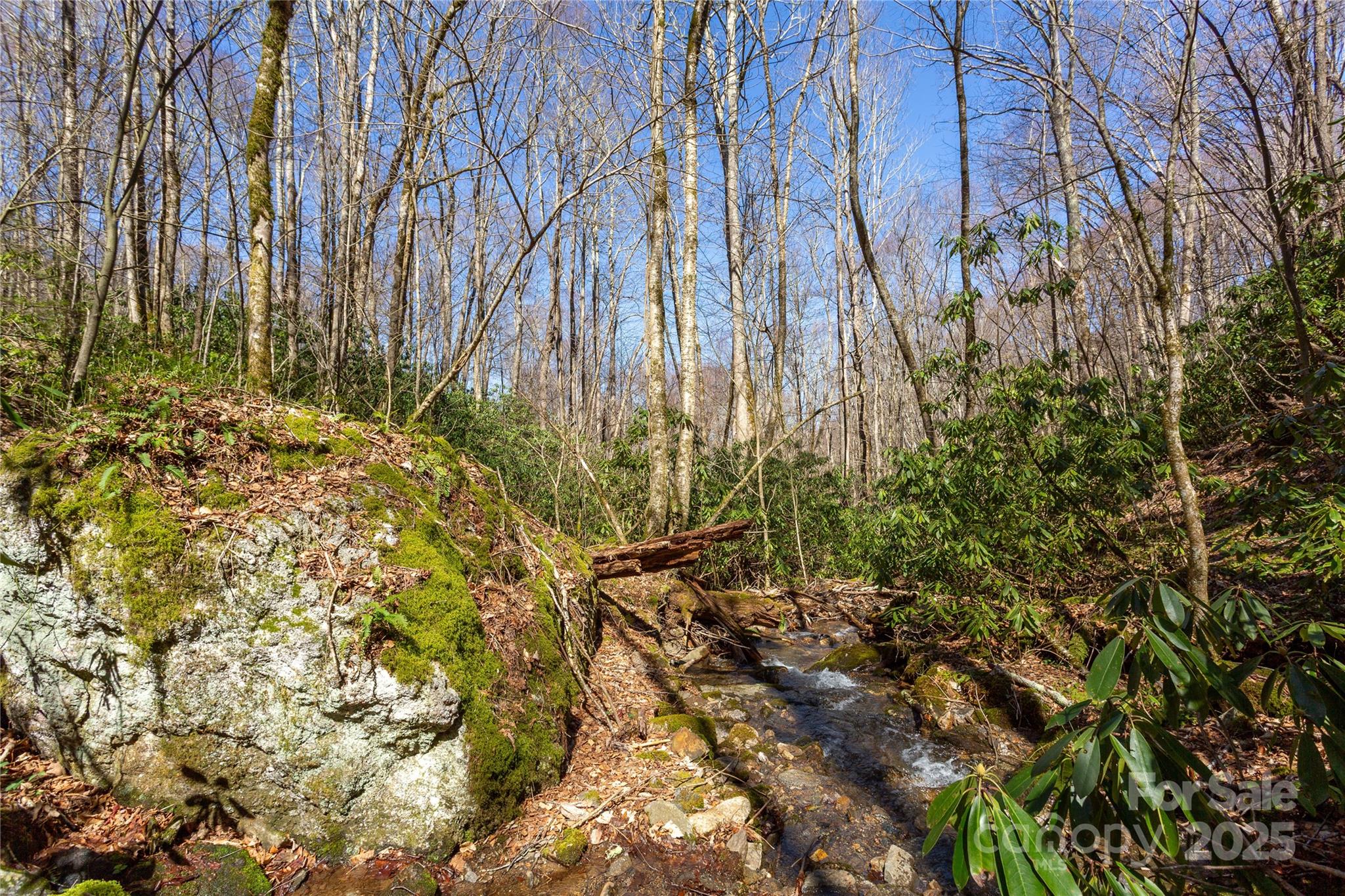 Lot 50 Bearwallow Ridge Trail 50 Property Photo 36