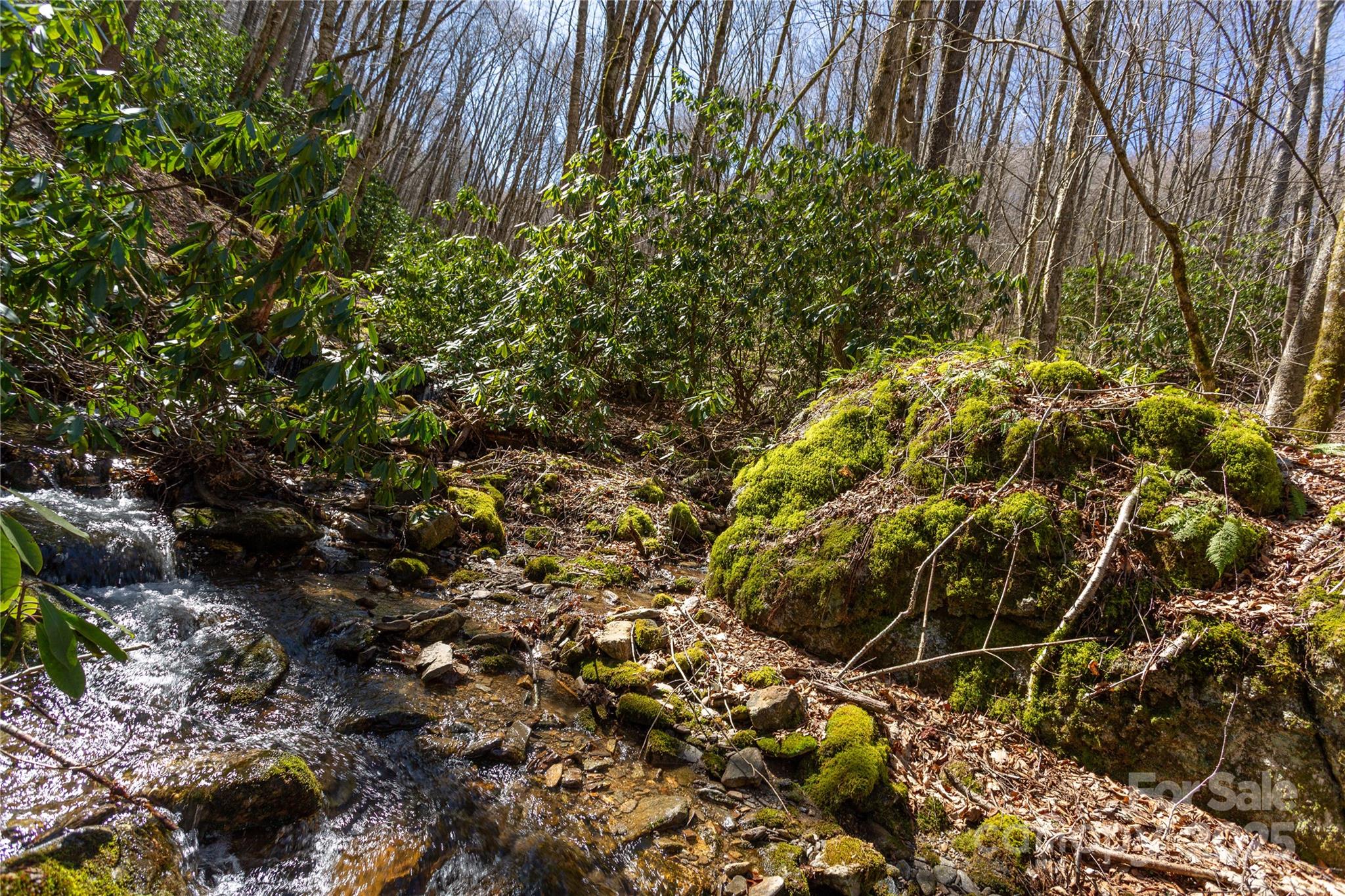 Lot 50 Bearwallow Ridge Trail 50 Property Photo 37