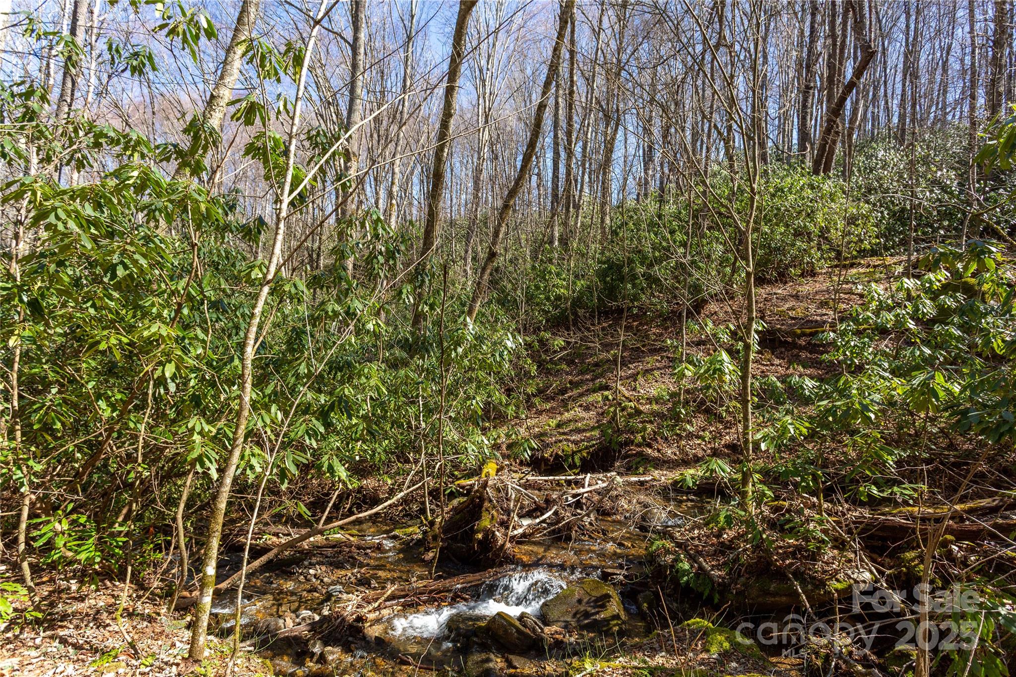 Lot 50 Bearwallow Ridge Trail 50 Property Photo 38