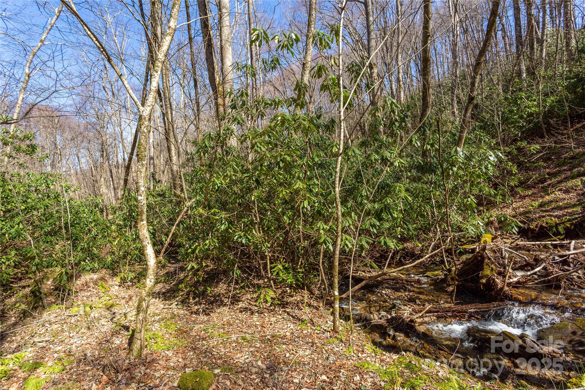 Lot 50 Bearwallow Ridge Trail 50 Property Photo 39