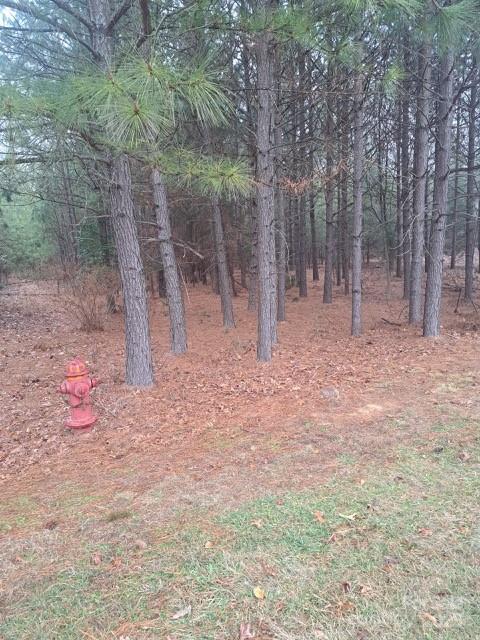 198 Water Oak Way Property Photo 2