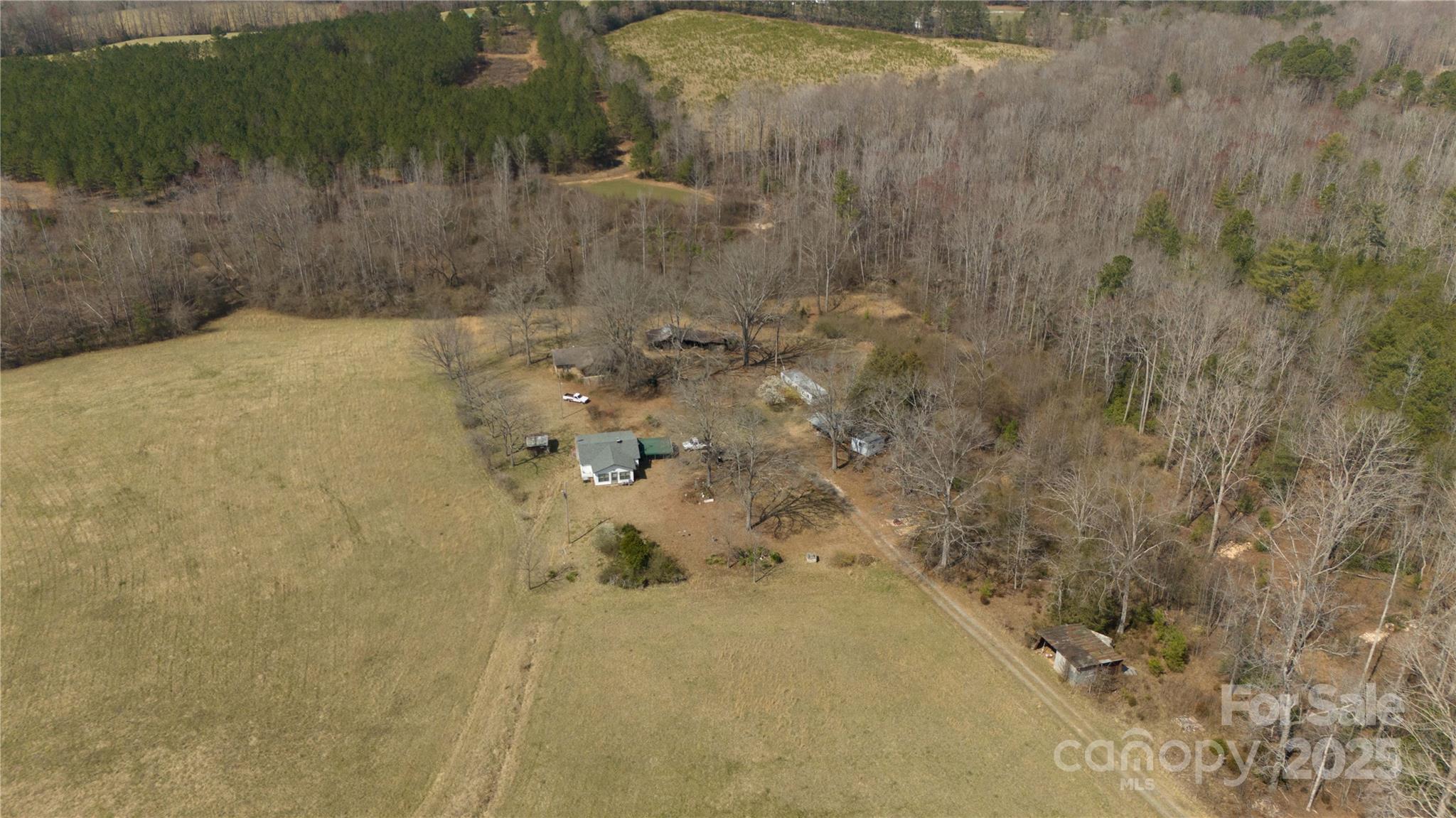 321 Ivie Trail Property Photo 13