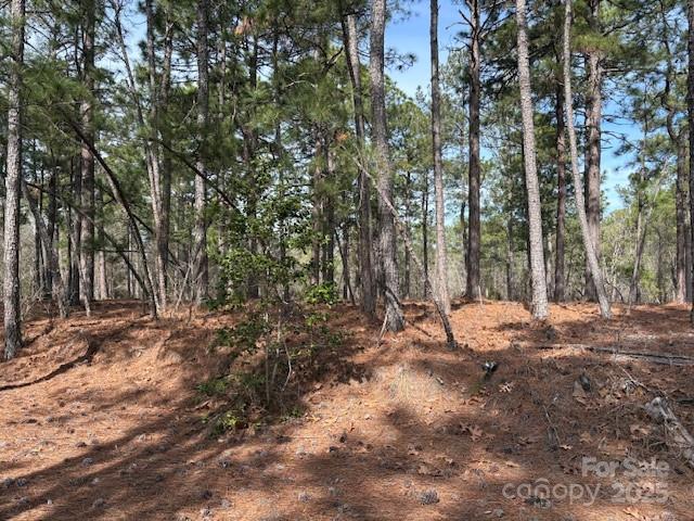 5656 Hwy 265 None Property Photo