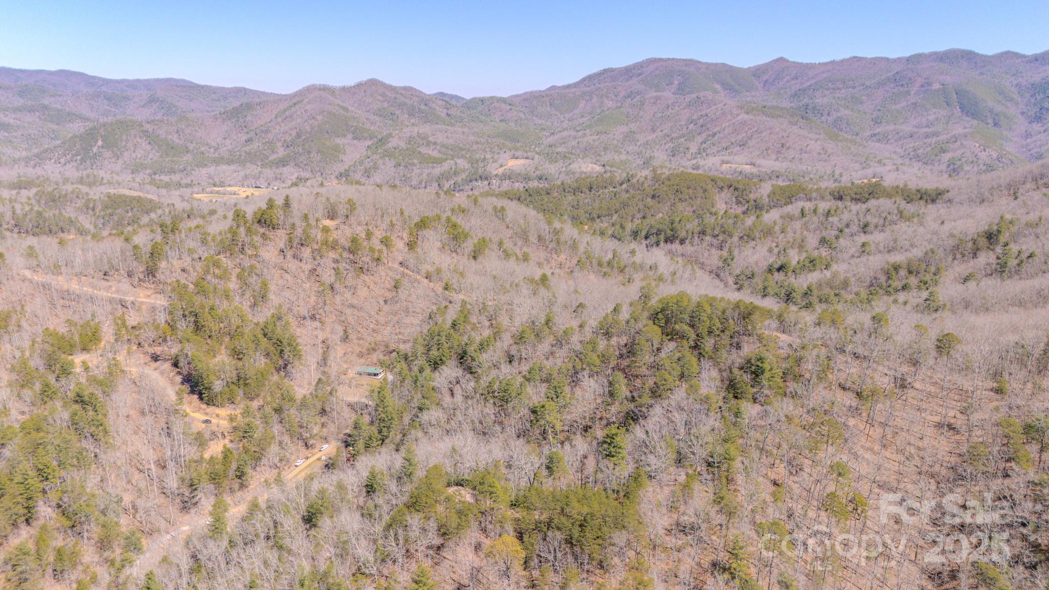 000 Plum Tree Holler Drive Property Photo 3