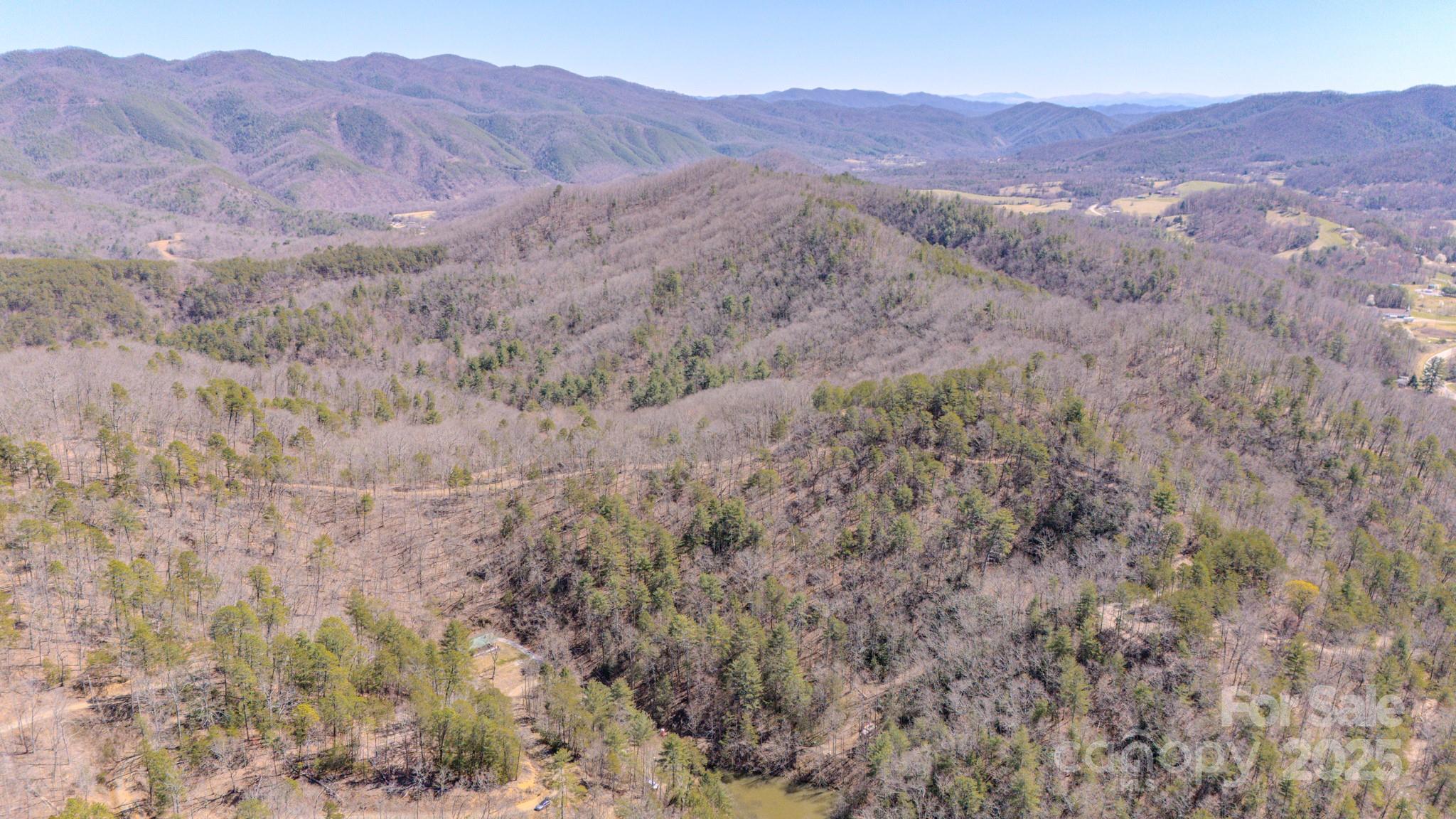 000 Plum Tree Holler Drive Property Photo 4