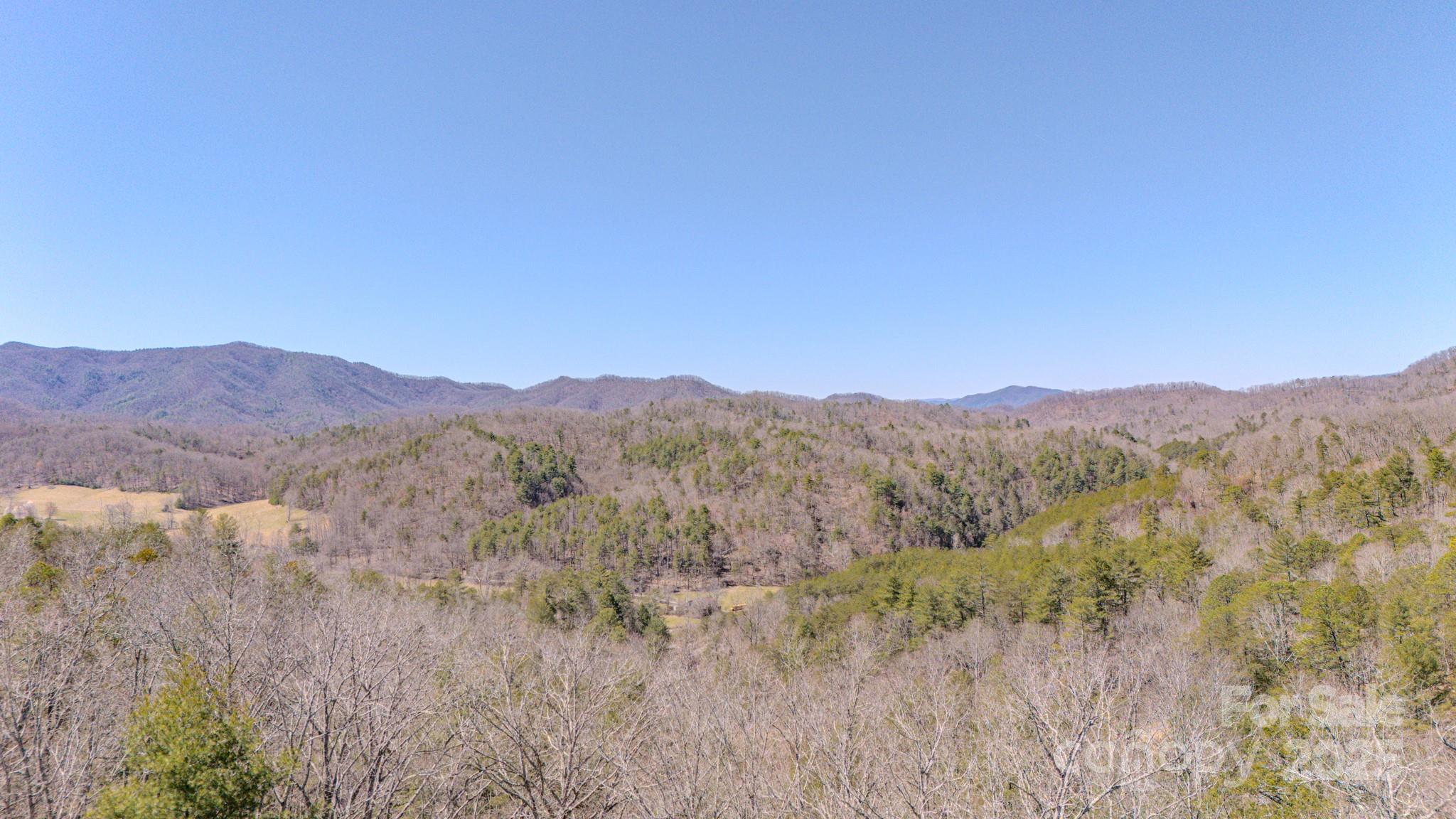 000 Plum Tree Holler Drive Property Photo 5