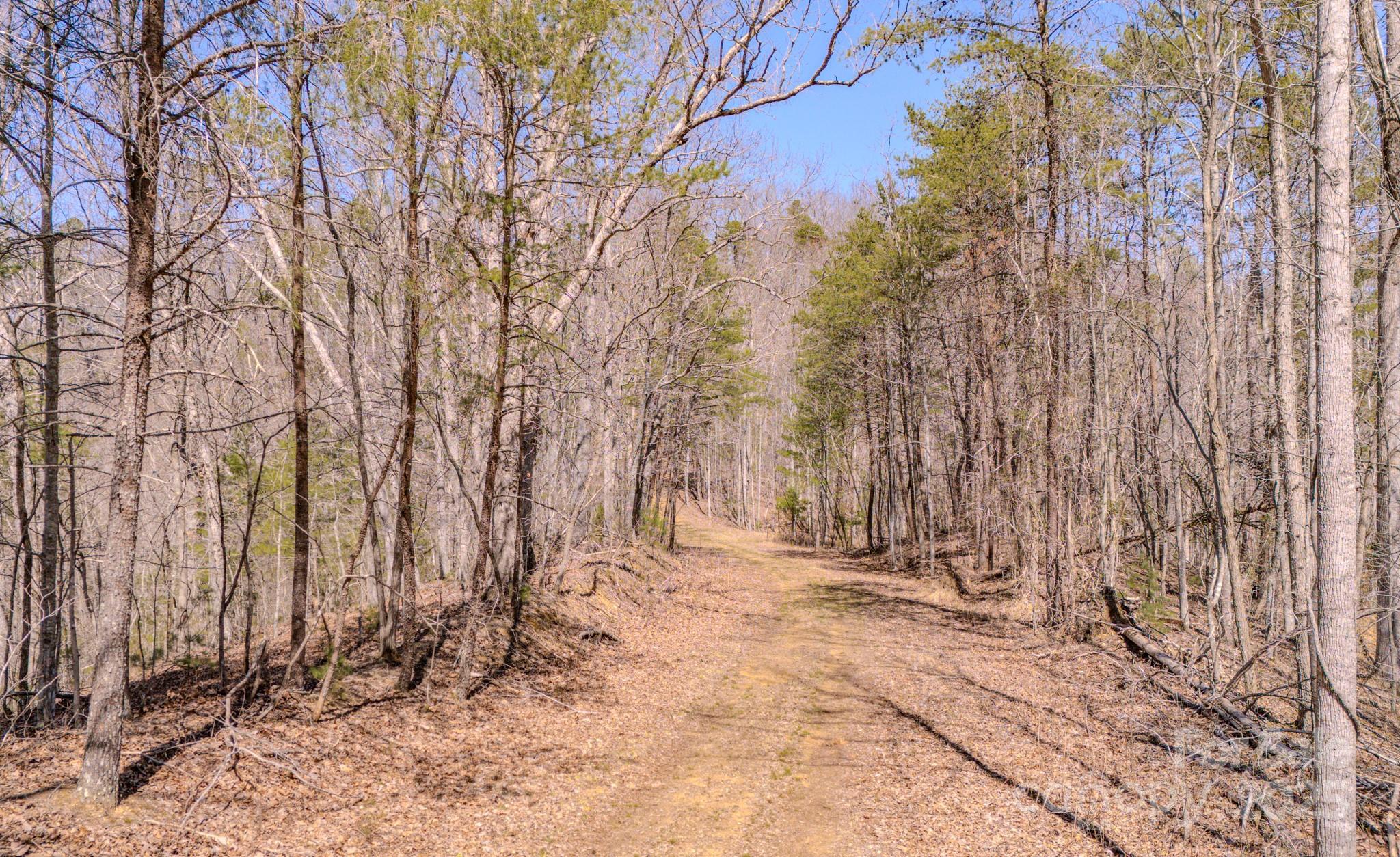 000 Plum Tree Holler Drive Property Photo 6