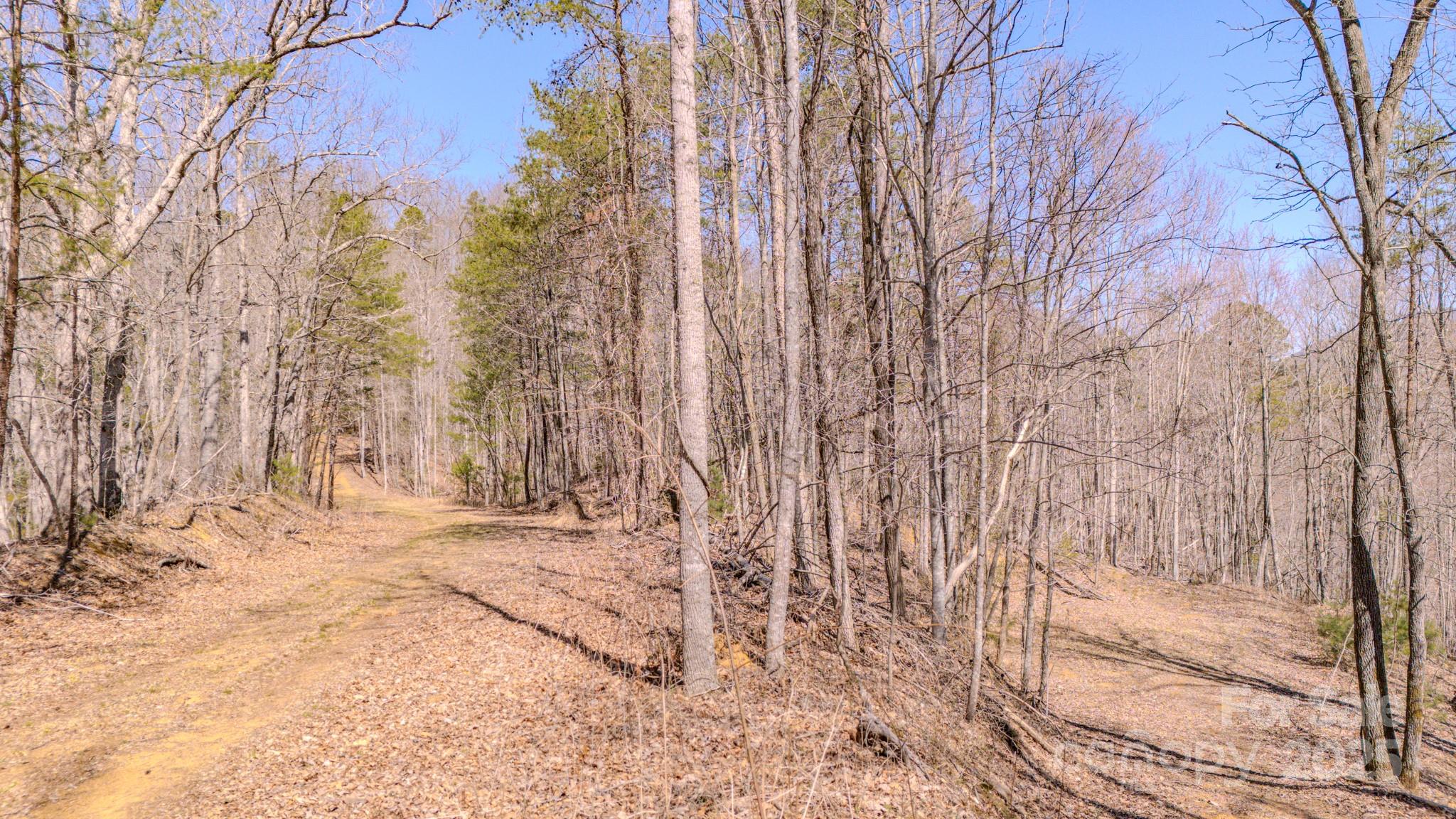 000 Plum Tree Holler Drive Property Photo 7