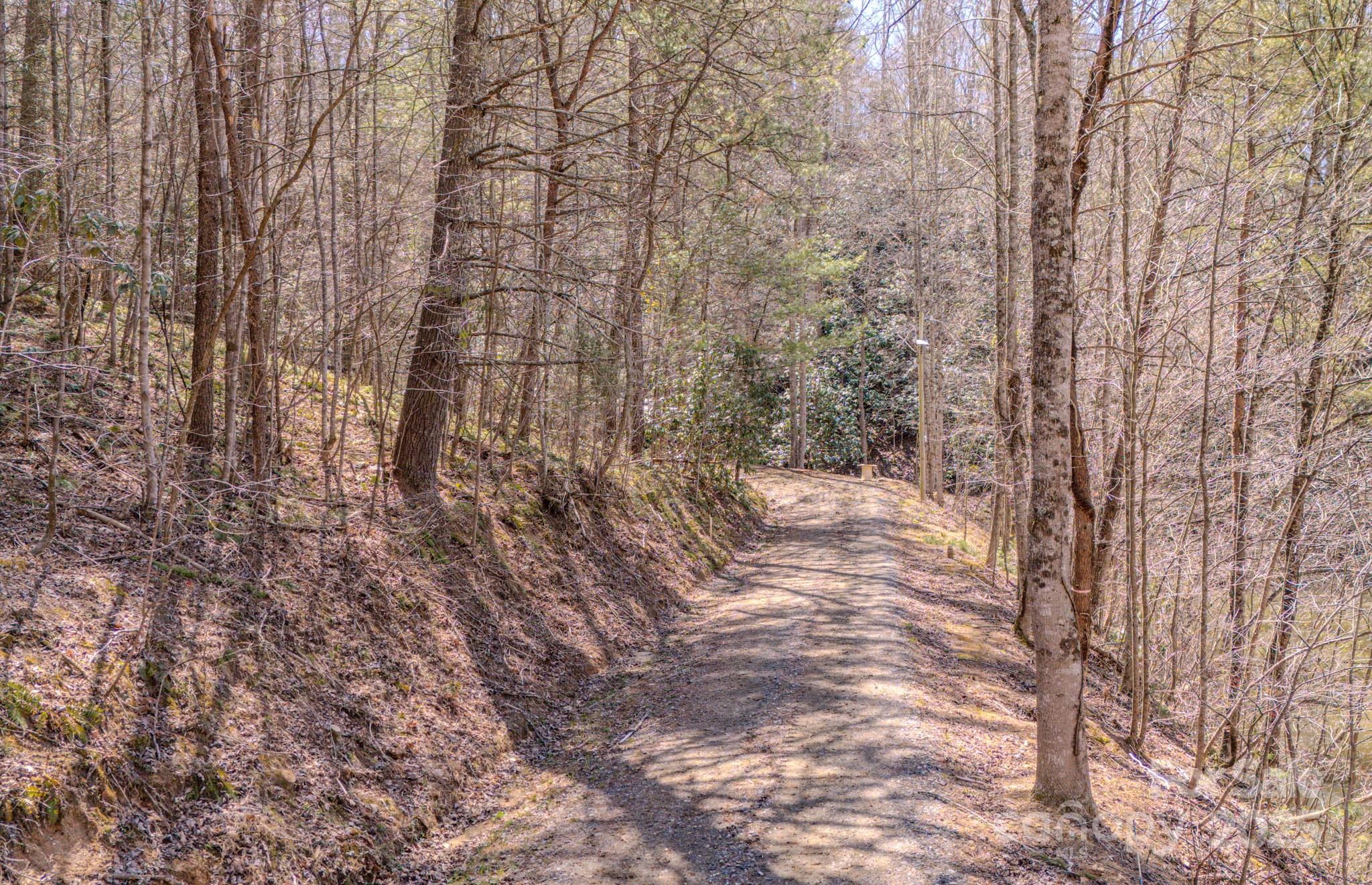 000 Plum Tree Holler Drive Property Photo 8