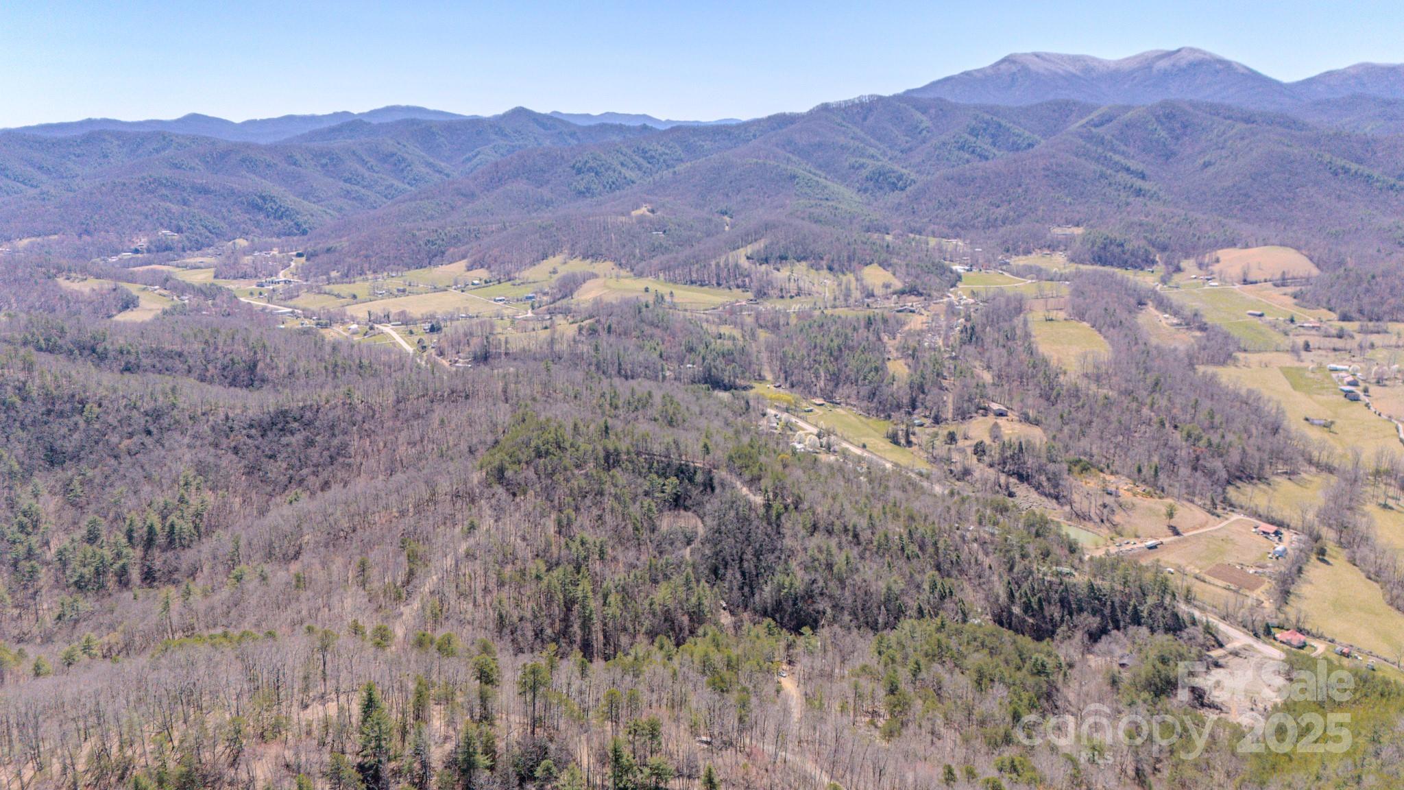 000 Plum Tree Holler Drive Property Photo 9