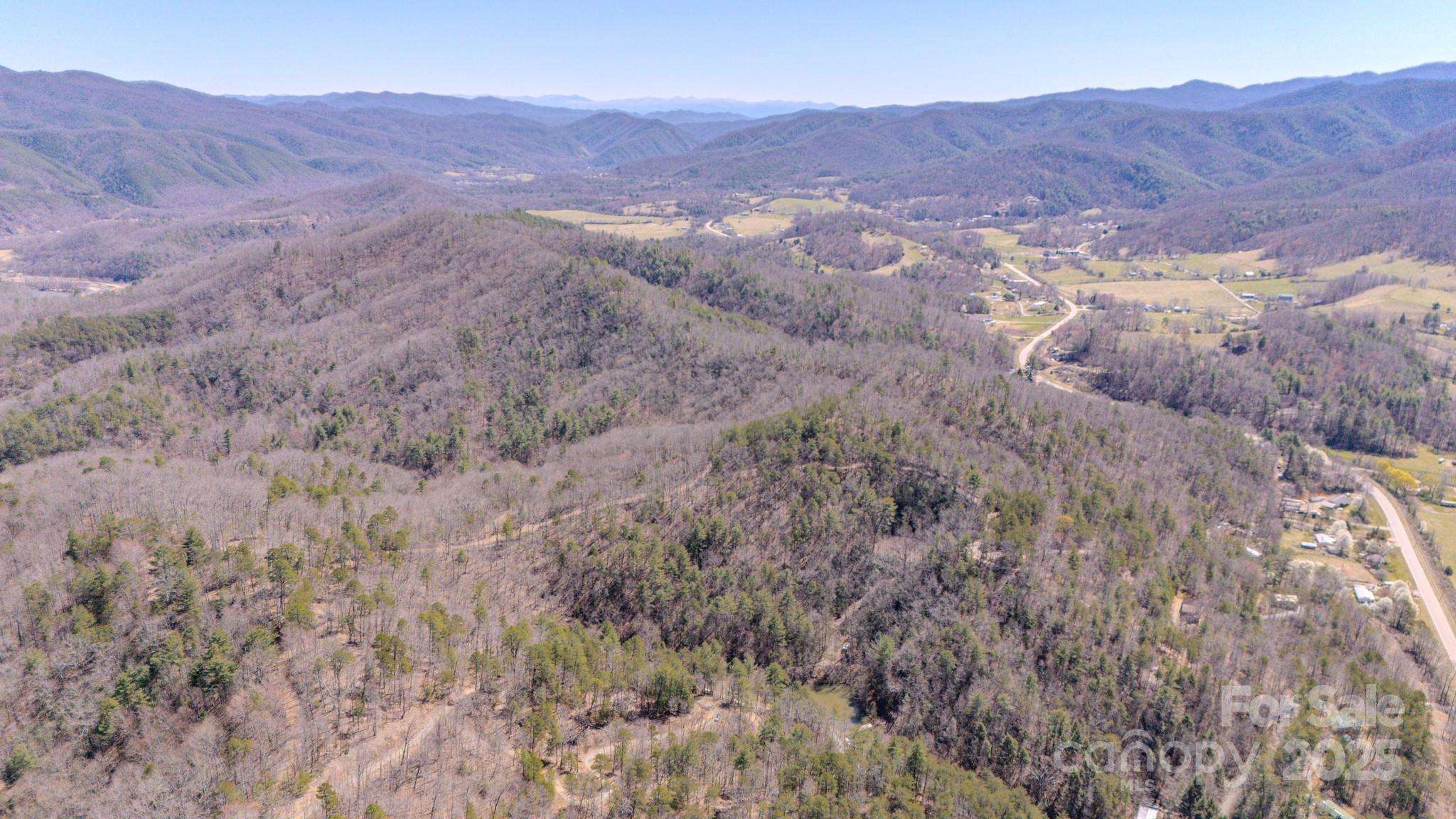 000 Plum Tree Holler Drive Property Photo 11