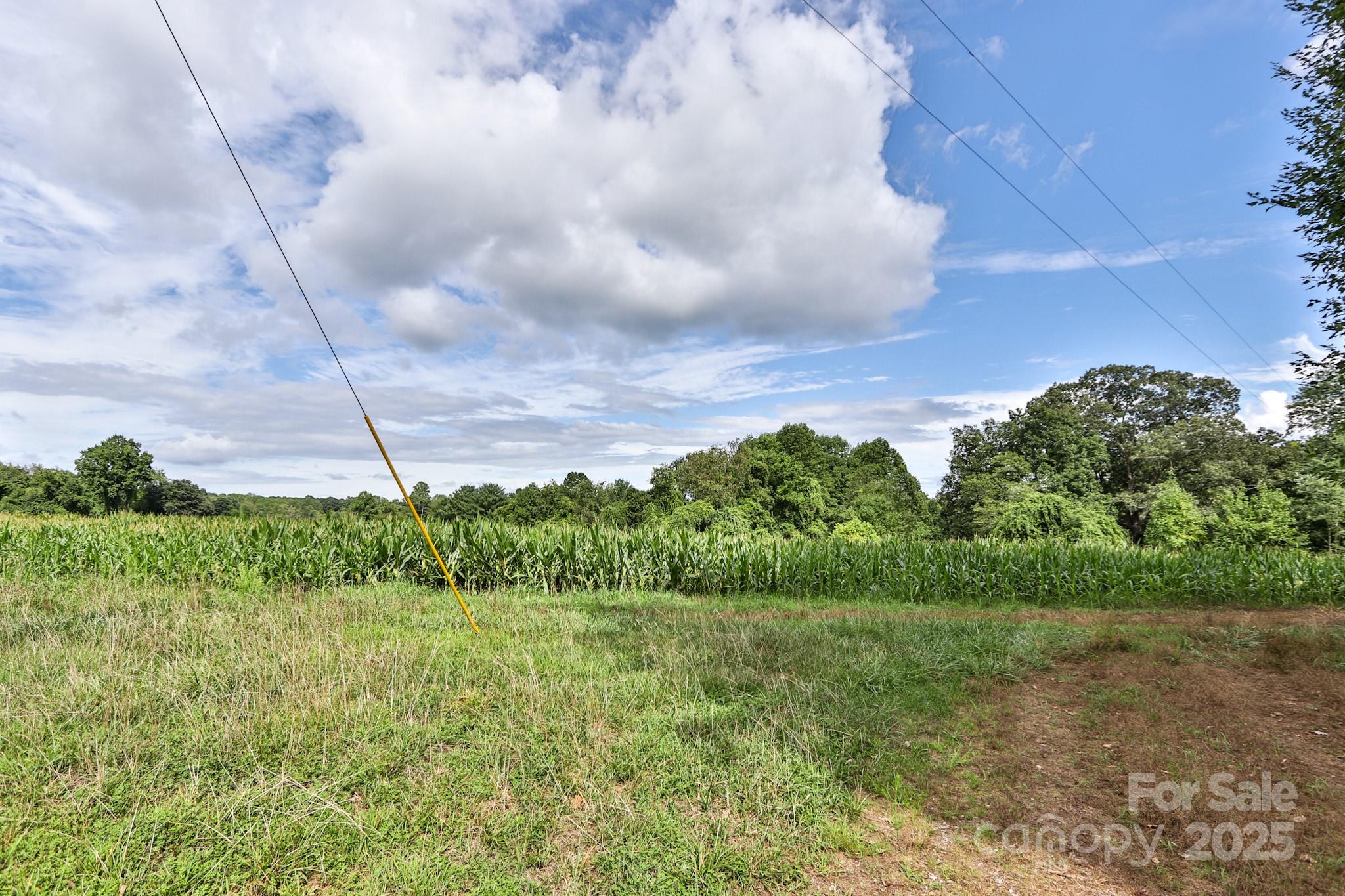 264 Mckinley Road Property Photo 5