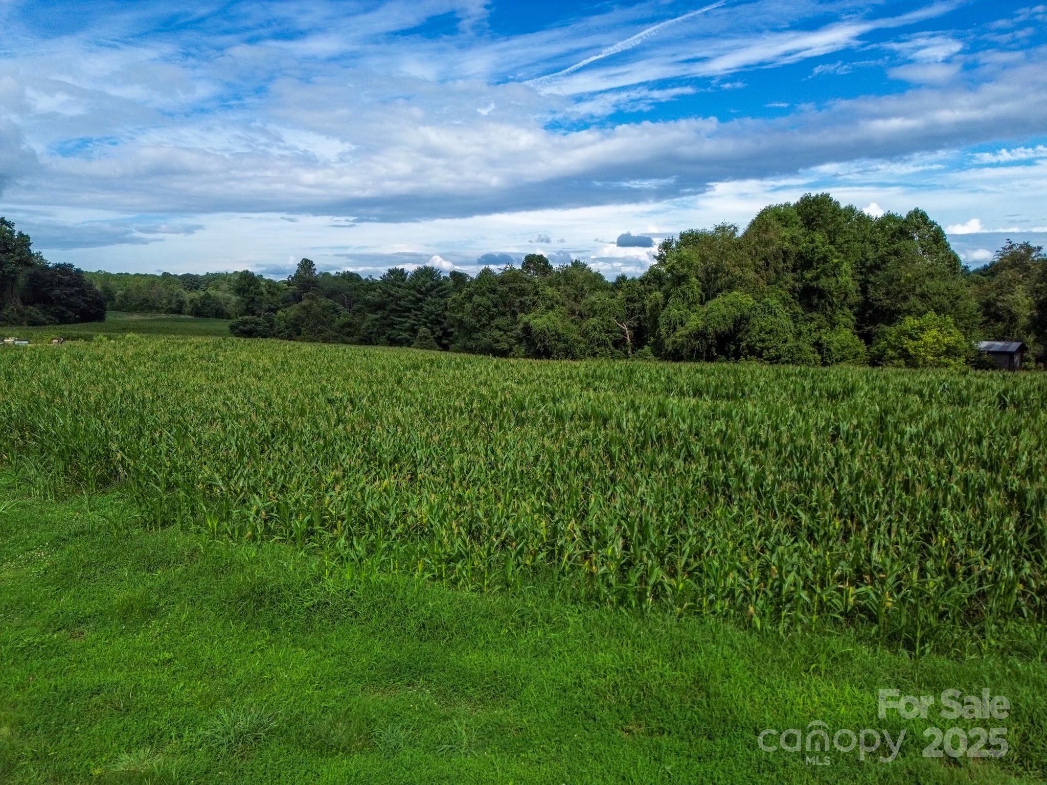 264 Mckinley Road Property Photo 14