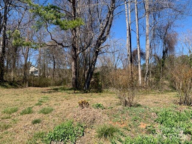 Lots 1&2 Country Club Road 1&2 Property Photo 12
