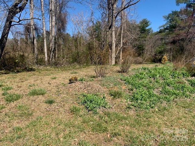 Lots 1&2 Country Club Road 1&2 Property Photo 35