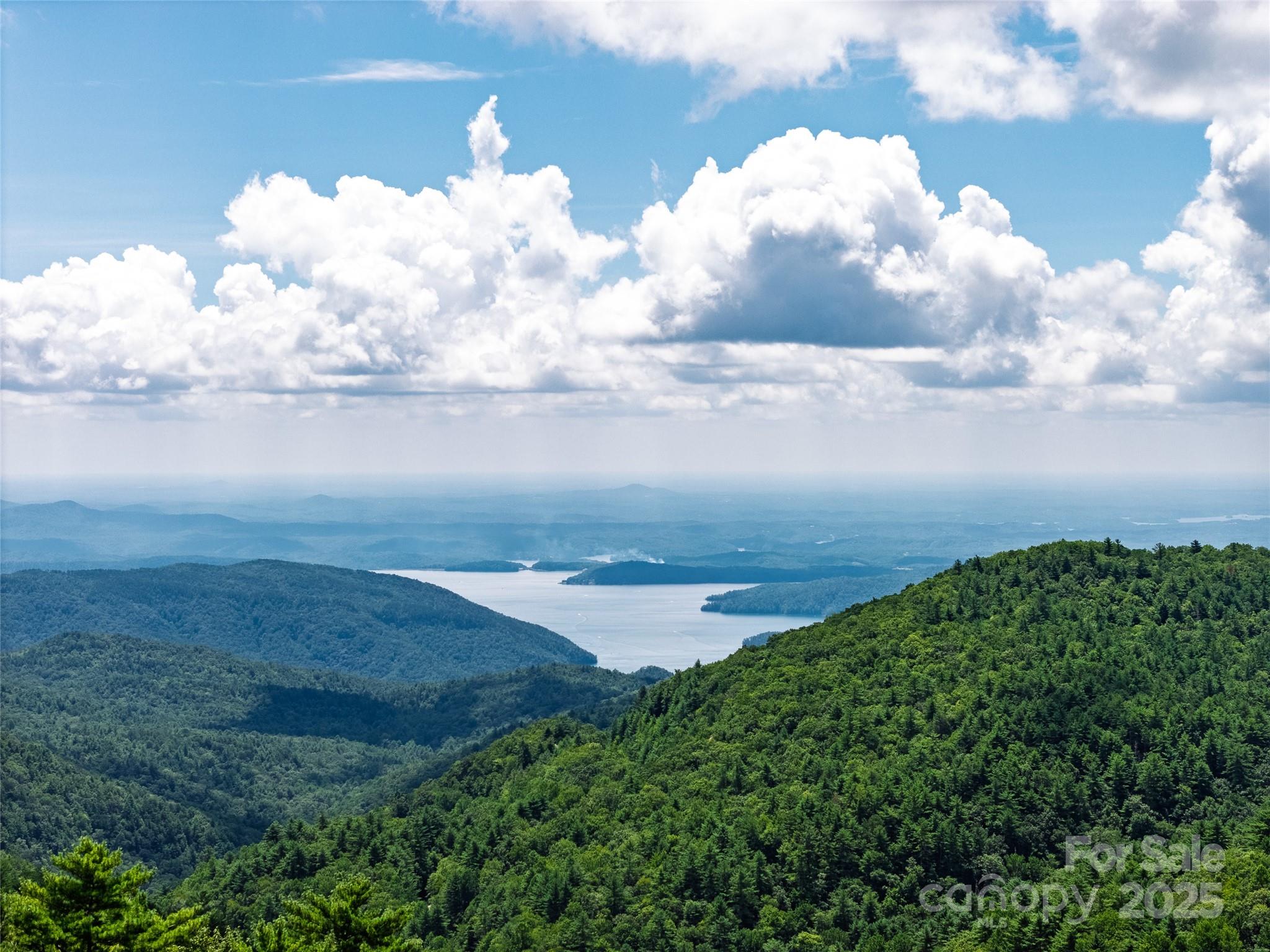 315 Jocassee Trail Property Photo 8