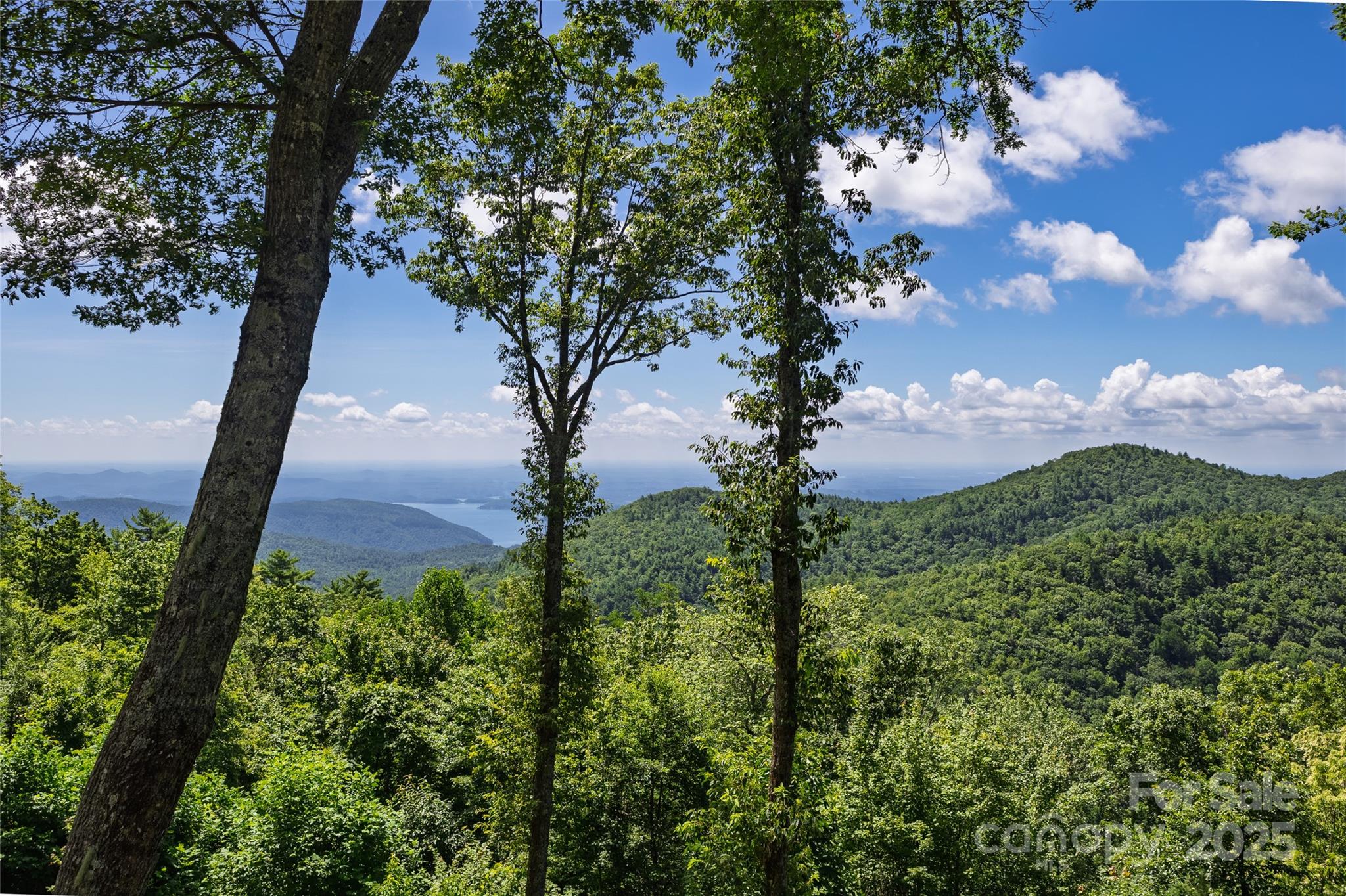 315 Jocassee Trail Property Photo 26