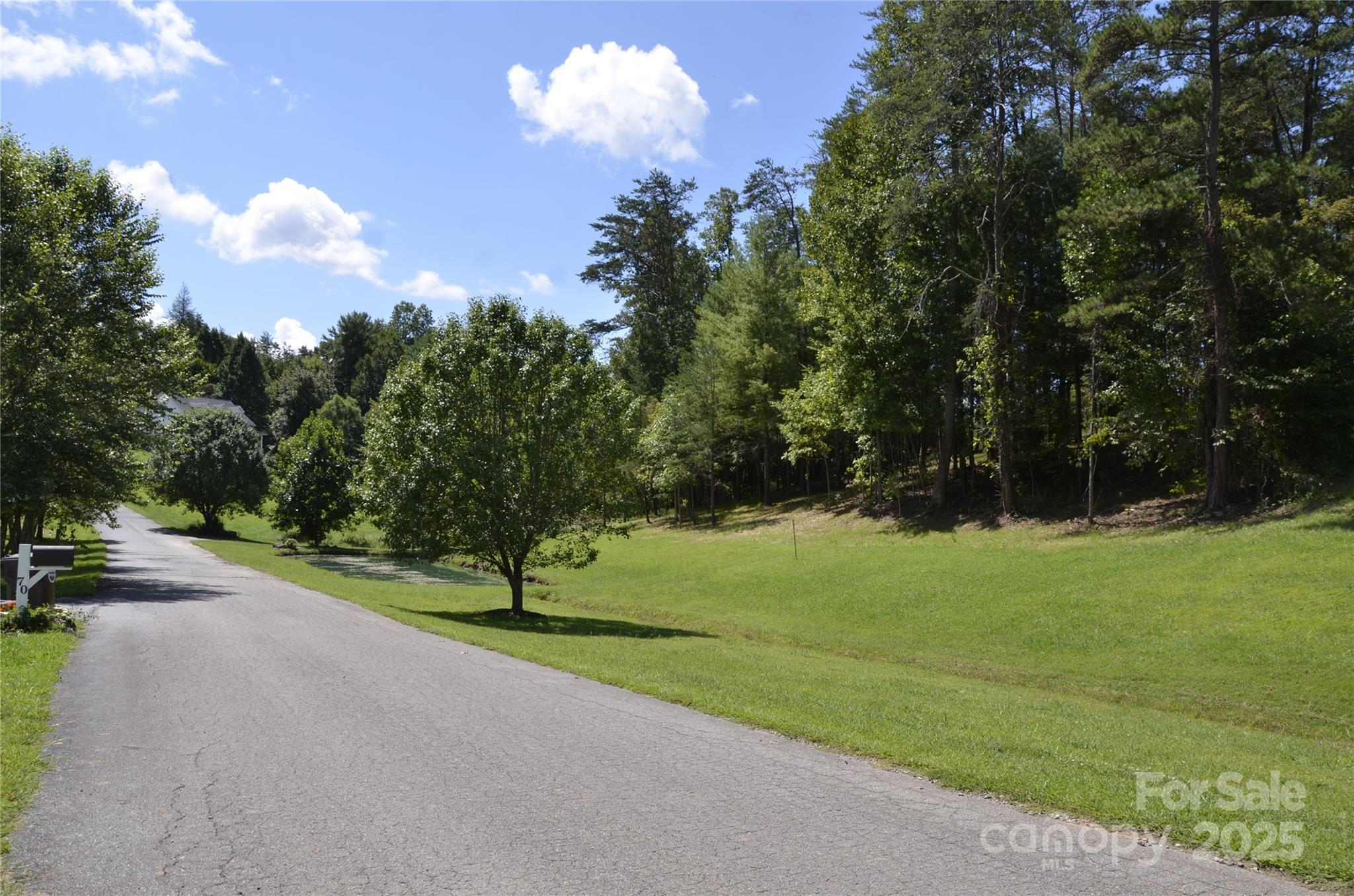 63 Ivy Meadows Drive 21 Property Photo 3
