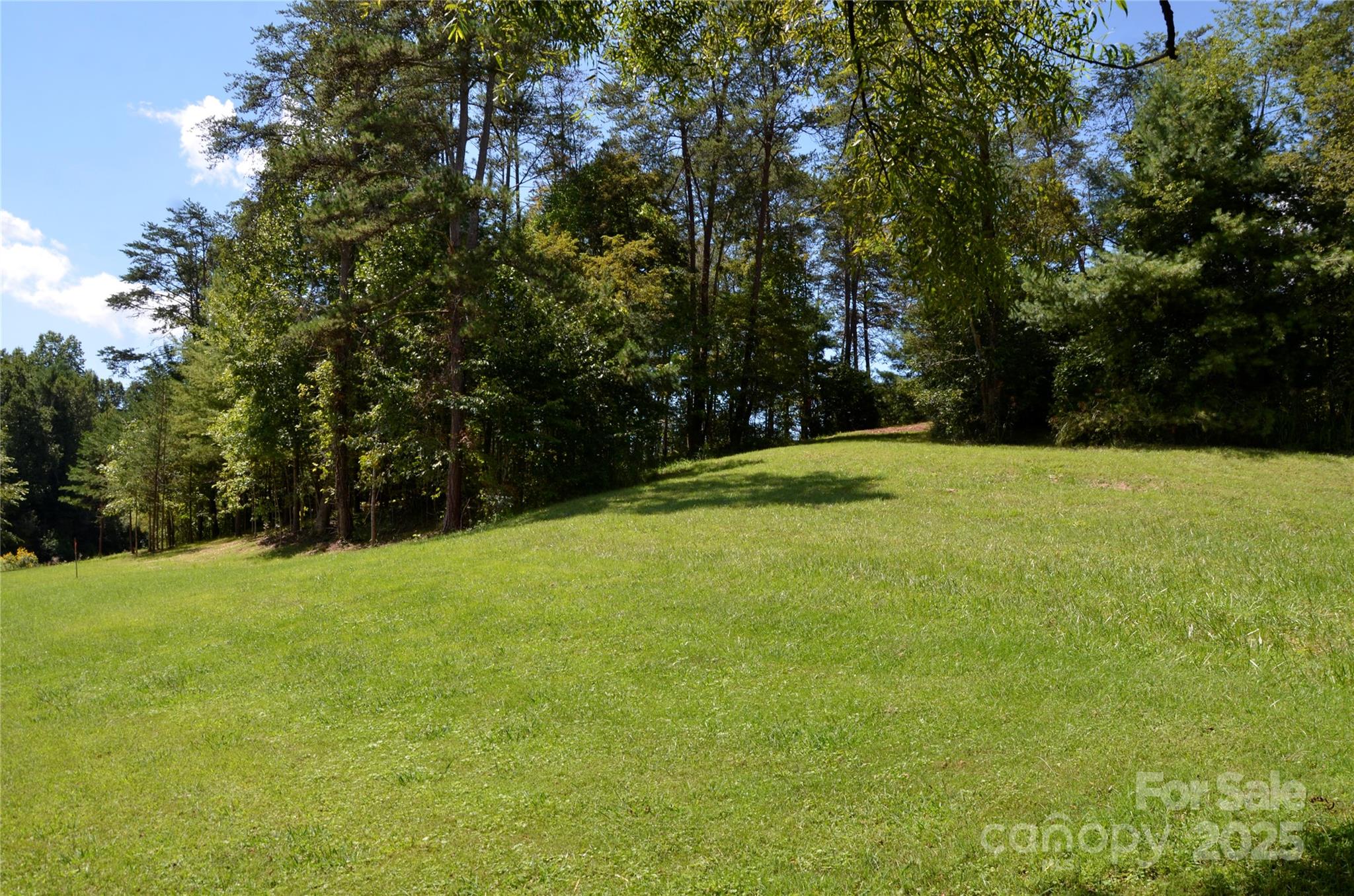 63 Ivy Meadows Drive 21 Property Photo 5