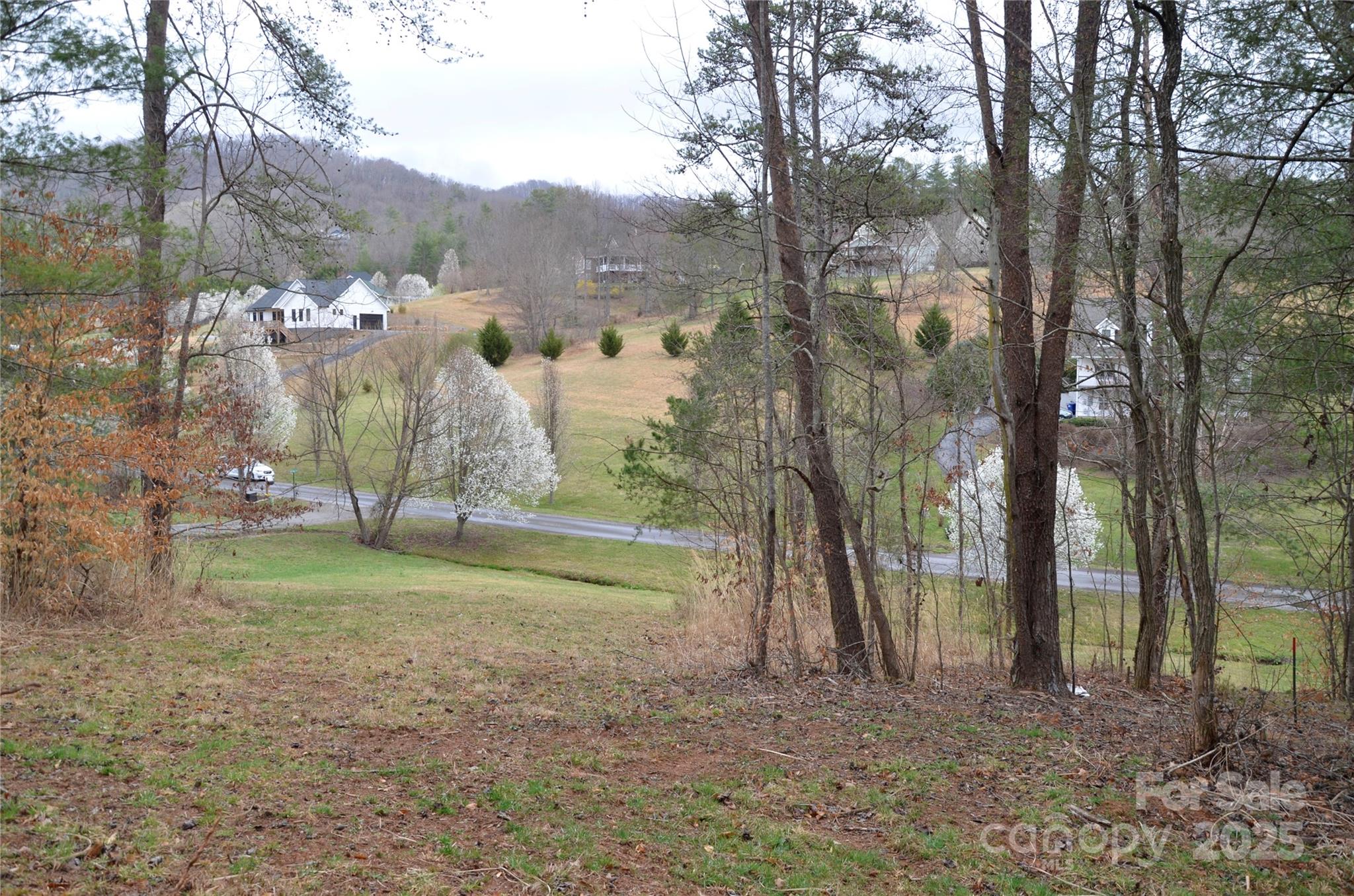 63 Ivy Meadows Drive 21 Property Photo 6