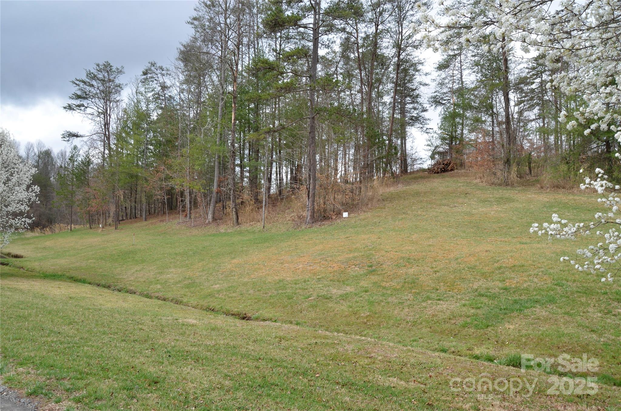 63 Ivy Meadows Drive 21 Property Photo 12