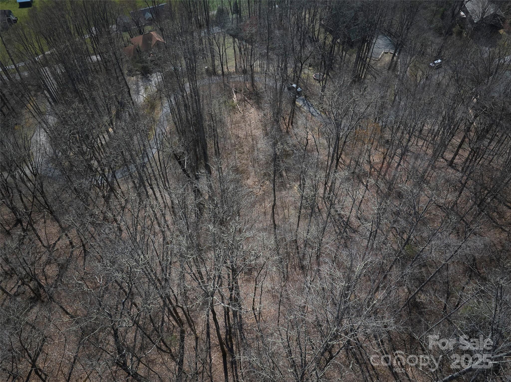 0 Treyburn Oaks Drive Property Photo 6