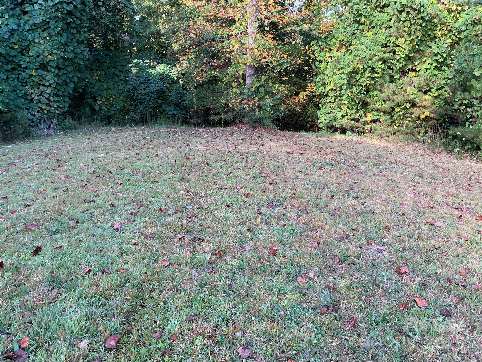 0 Rachel Bell Road Lot 24 Property Photo 2