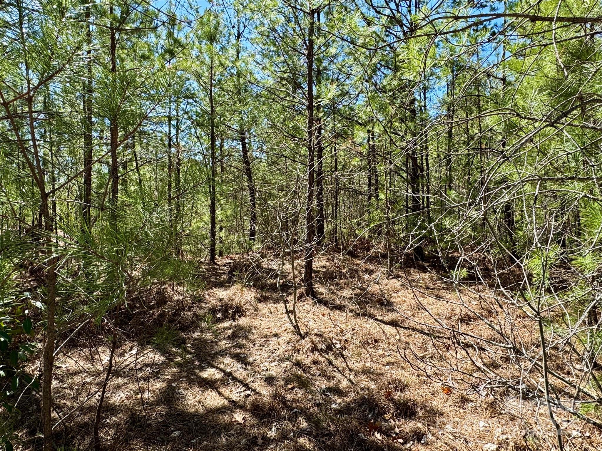 99 Oak Laurel Road Property Photo 1