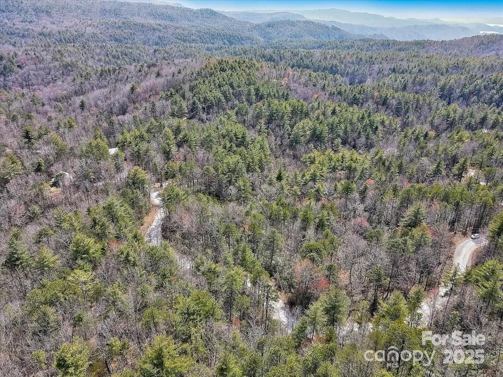 99 Oak Laurel Road Property Photo 2