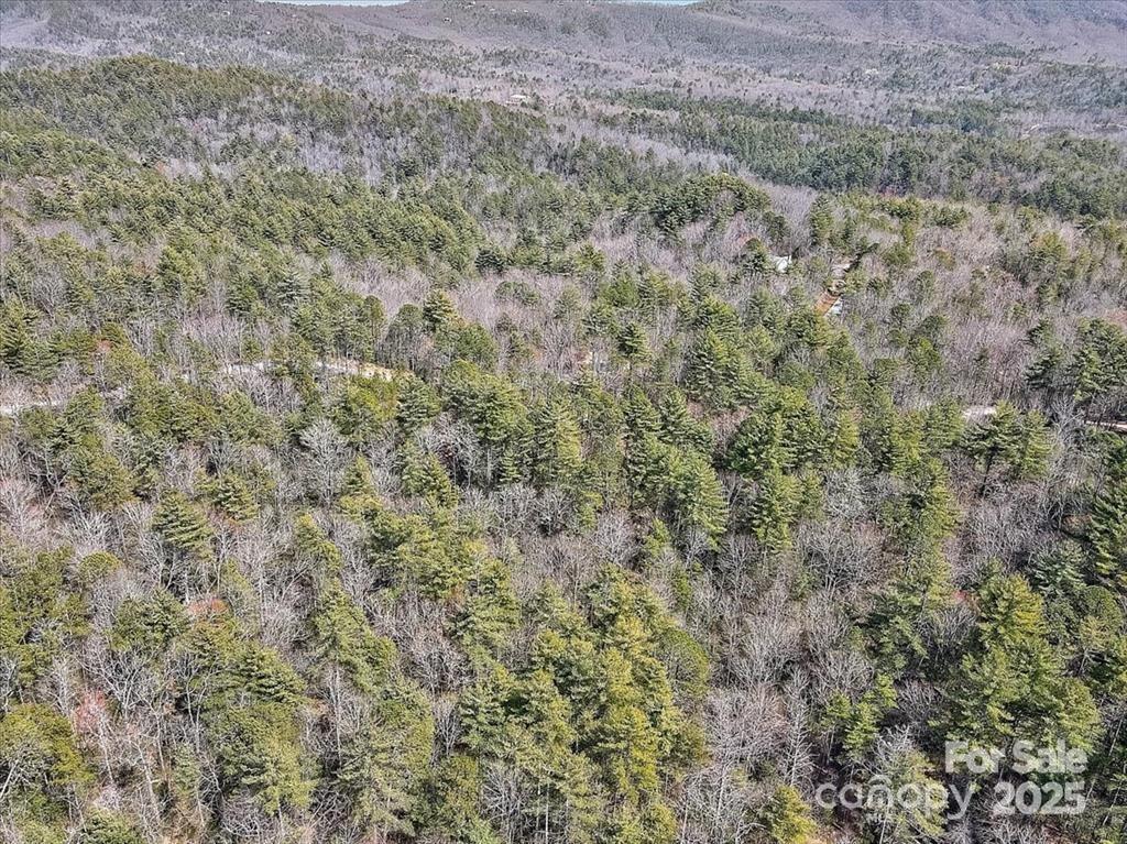99 Oak Laurel Road Property Photo 9