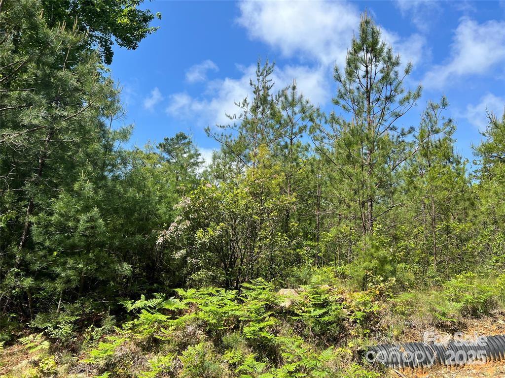 99 Oak Laurel Road Property Photo 18