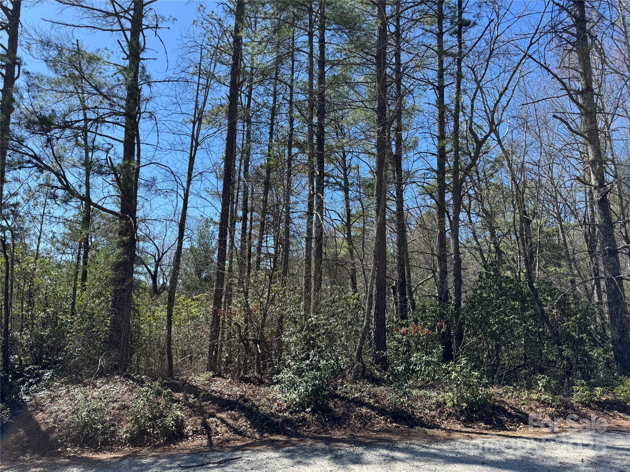 99 Oak Laurel Road Property Photo 19
