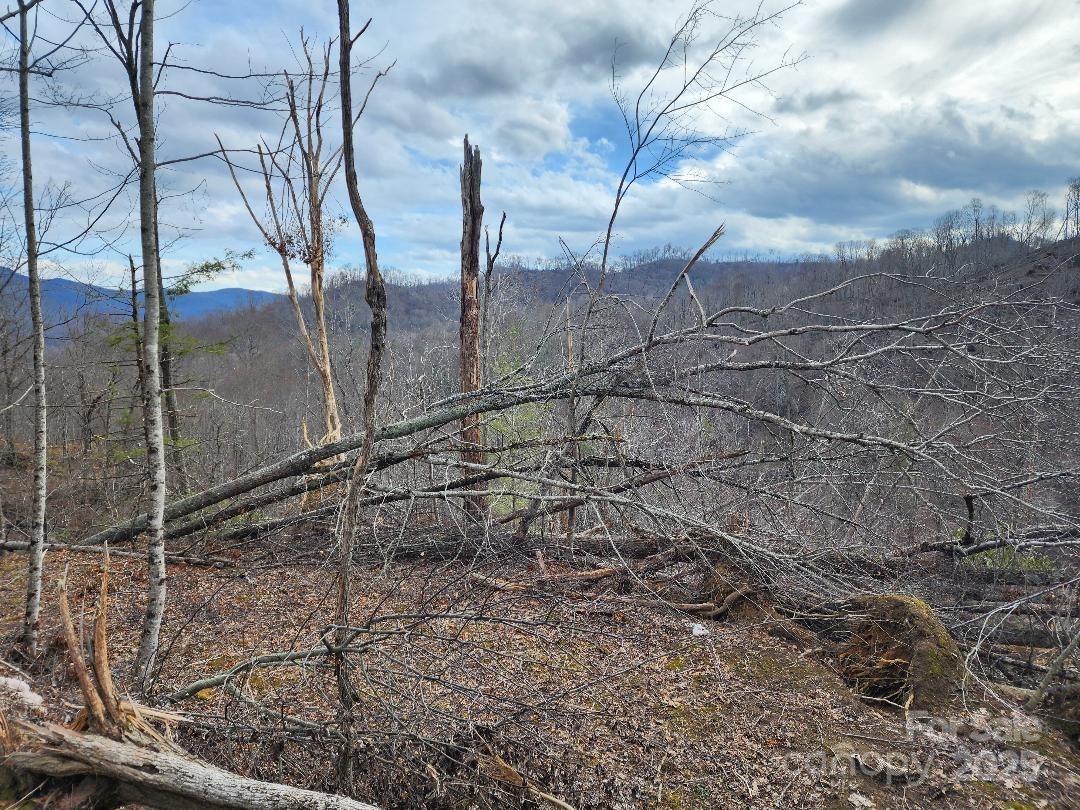 00 N Nc Highway 226 Highway Property Photo