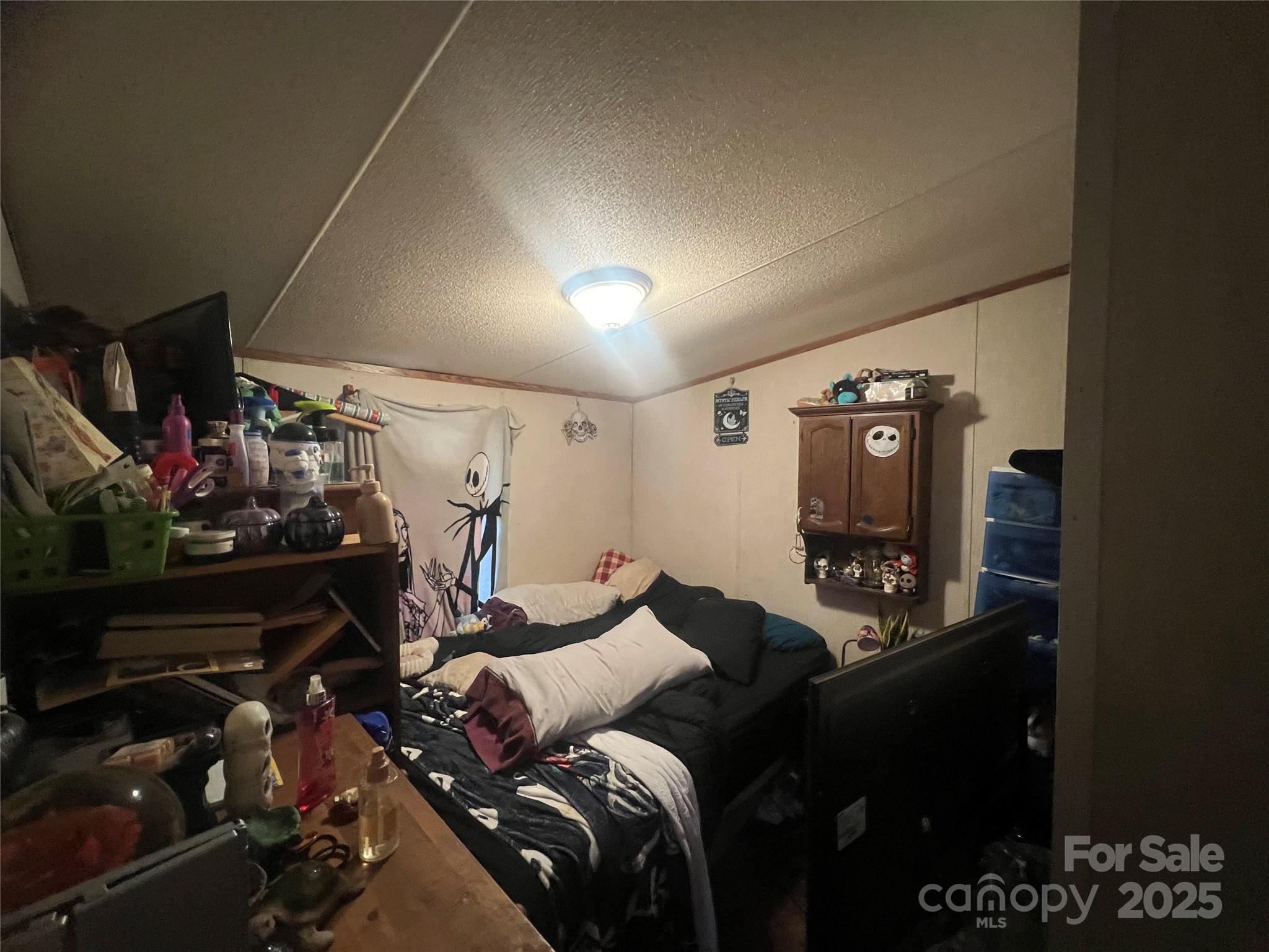 171 Courtney Place Lane Property Photo 13