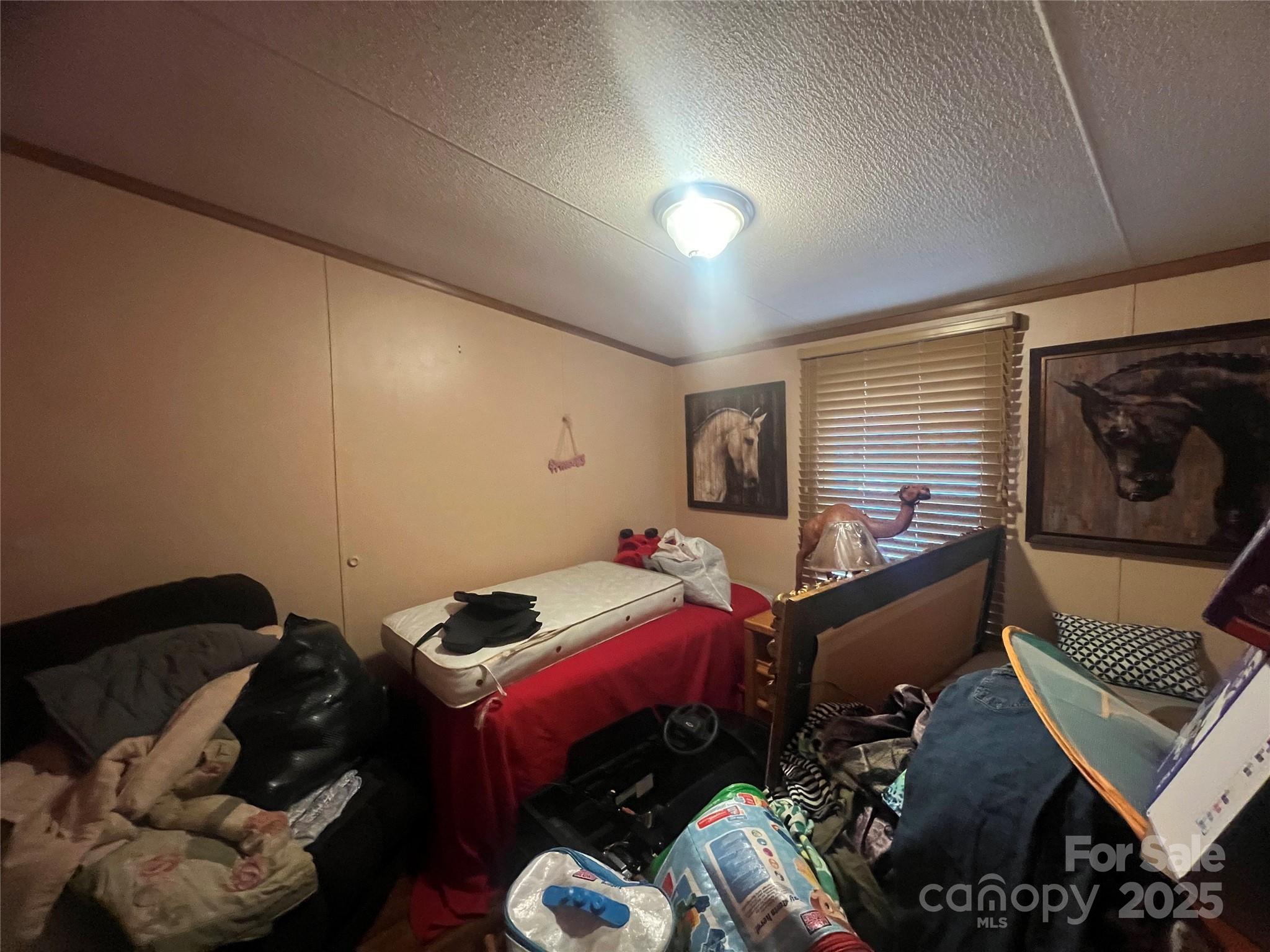 171 Courtney Place Lane Property Photo 16