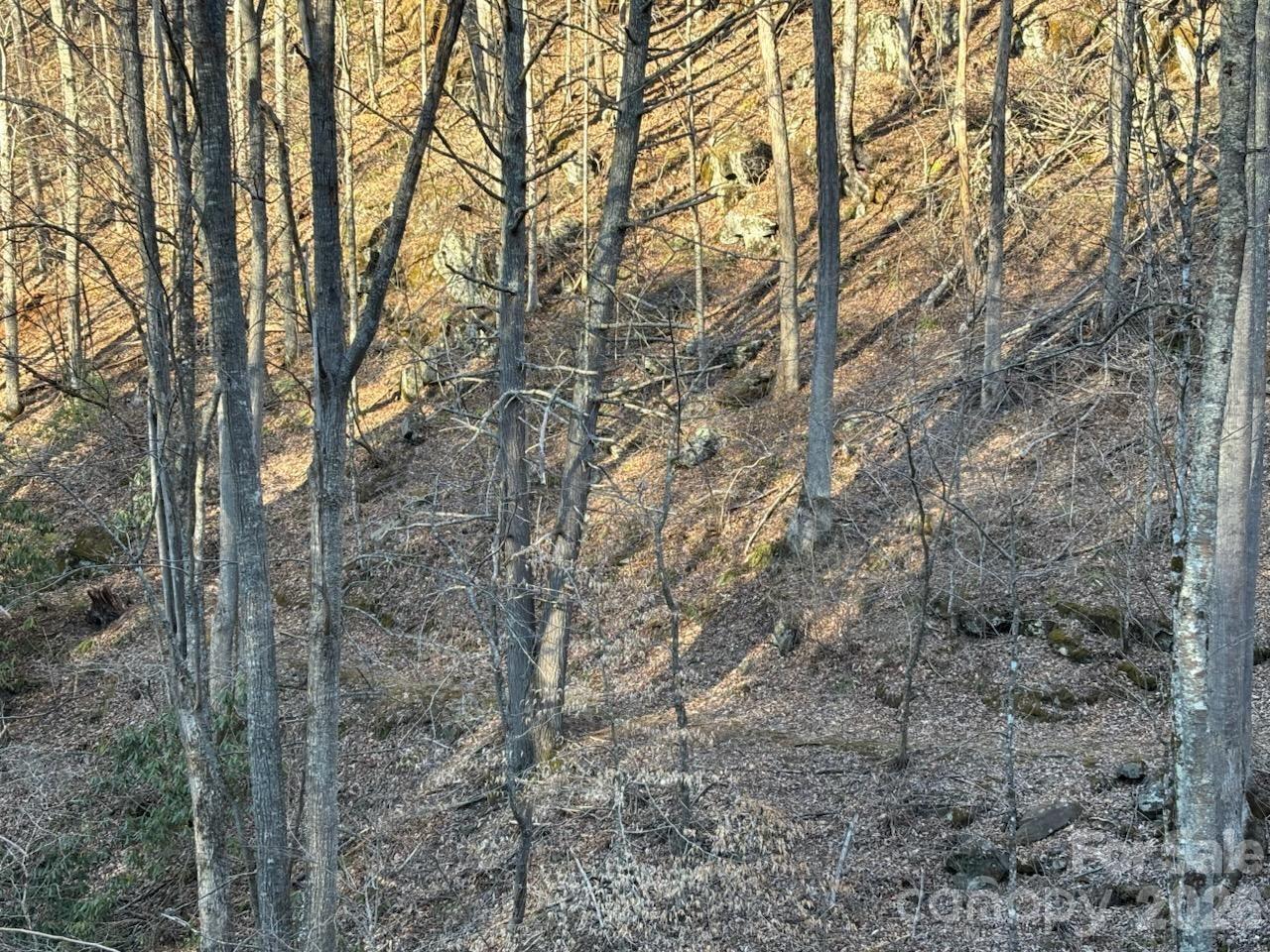324 Marble Mine Road Property Photo 5