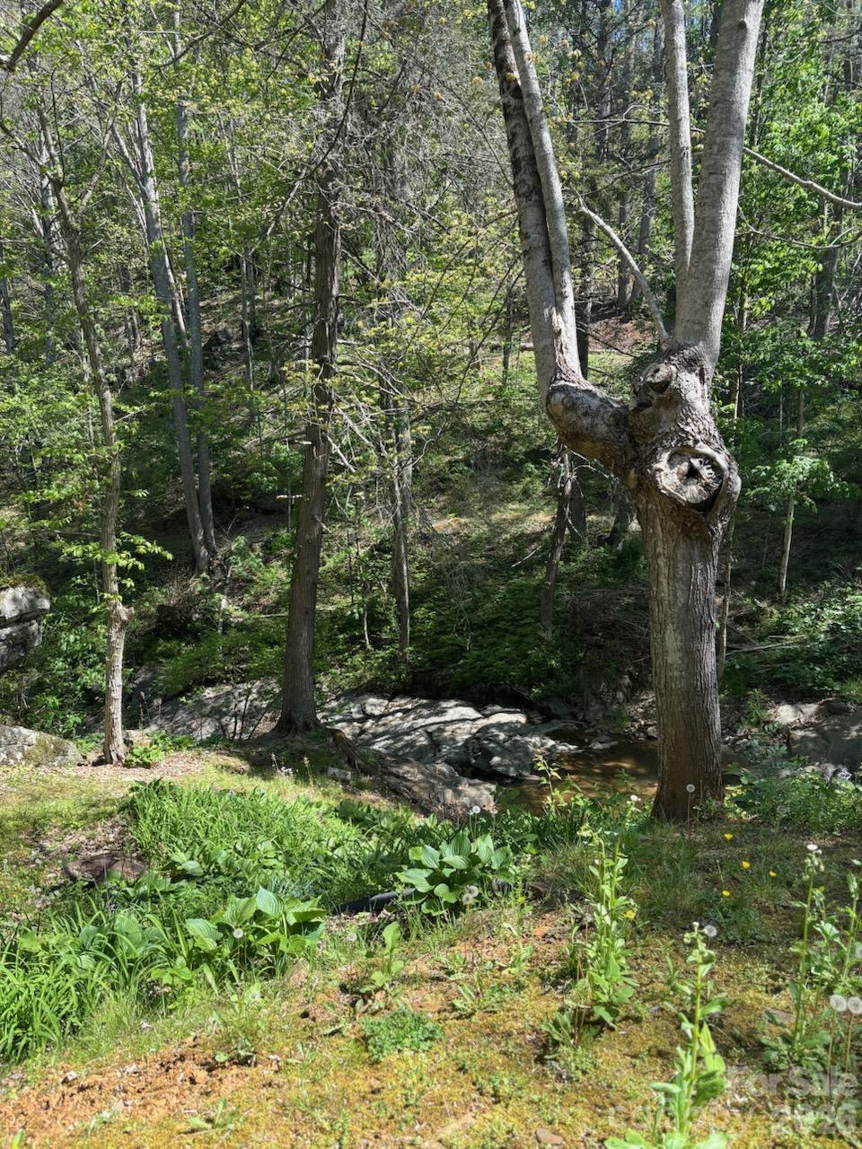 324 Marble Mine Road Property Photo 29